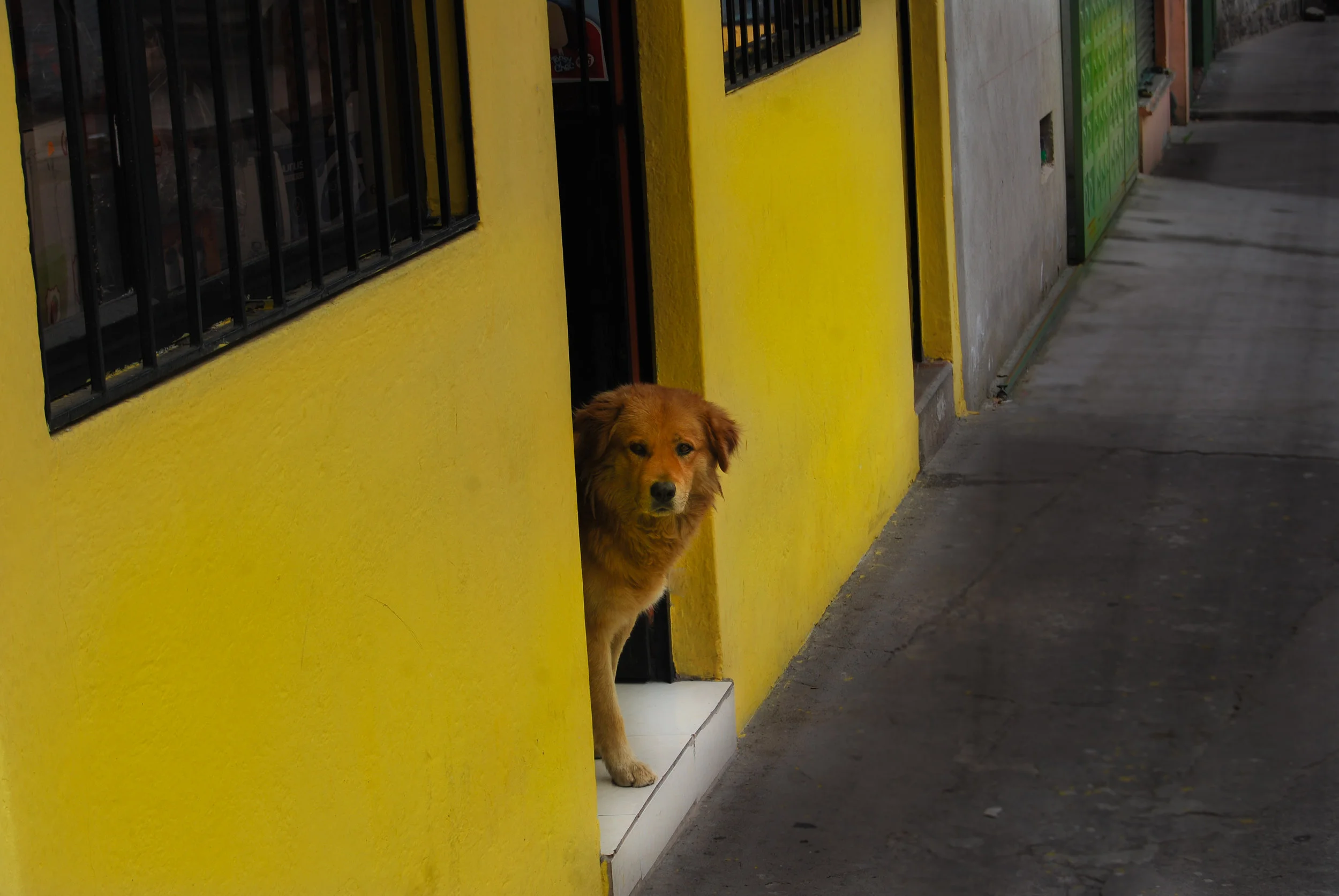 DSC_1755.jpg