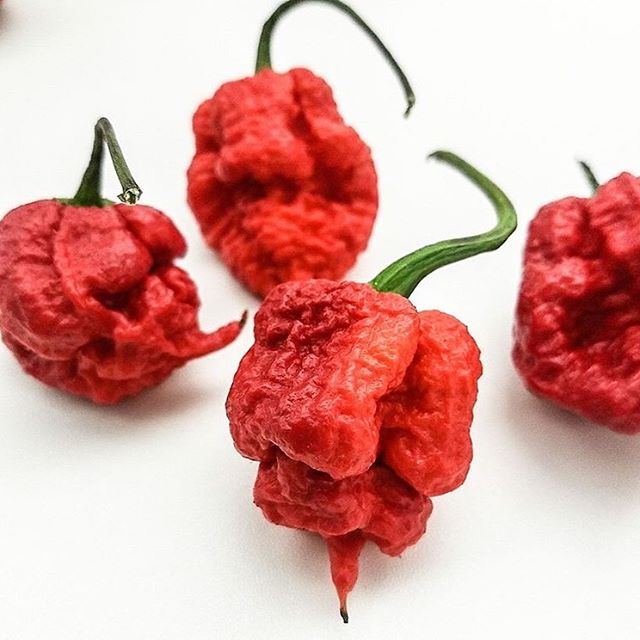 The Carolina Reaper, the hottest pepper in the world.

Capsaicin is the molecule in chili peppers that creates the hot flavor but also activates receptors responsible for the perception of pain, which fire off warning messages to the heart and brain.