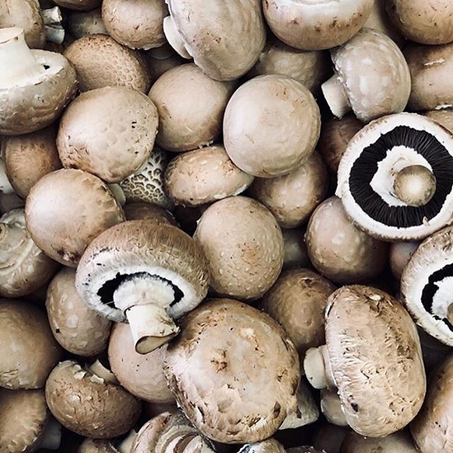 Mushrooms are the leading source of the antioxidant nutrient selenium in the produce aisle. Antioxidants, like selenium, protect body cells from damage that might lead to chronic diseases and help to strengthen the immune system, as well. In addition