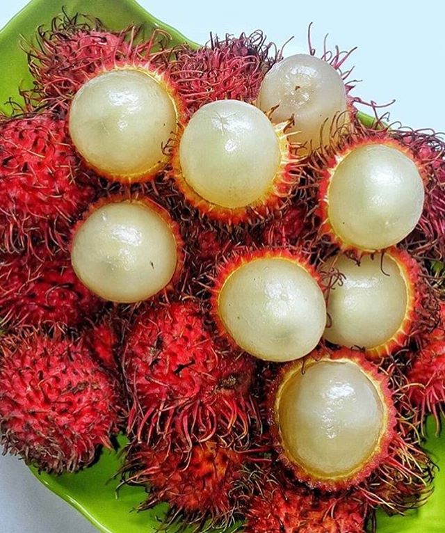 Like something out of a fantasy novel, many have never encountered the Rambutan fruit before. However, if you live in Southeast Asia, you&rsquo;re in luck, as you&rsquo;ve probably had it before since it can be found growing natively.

The table belo