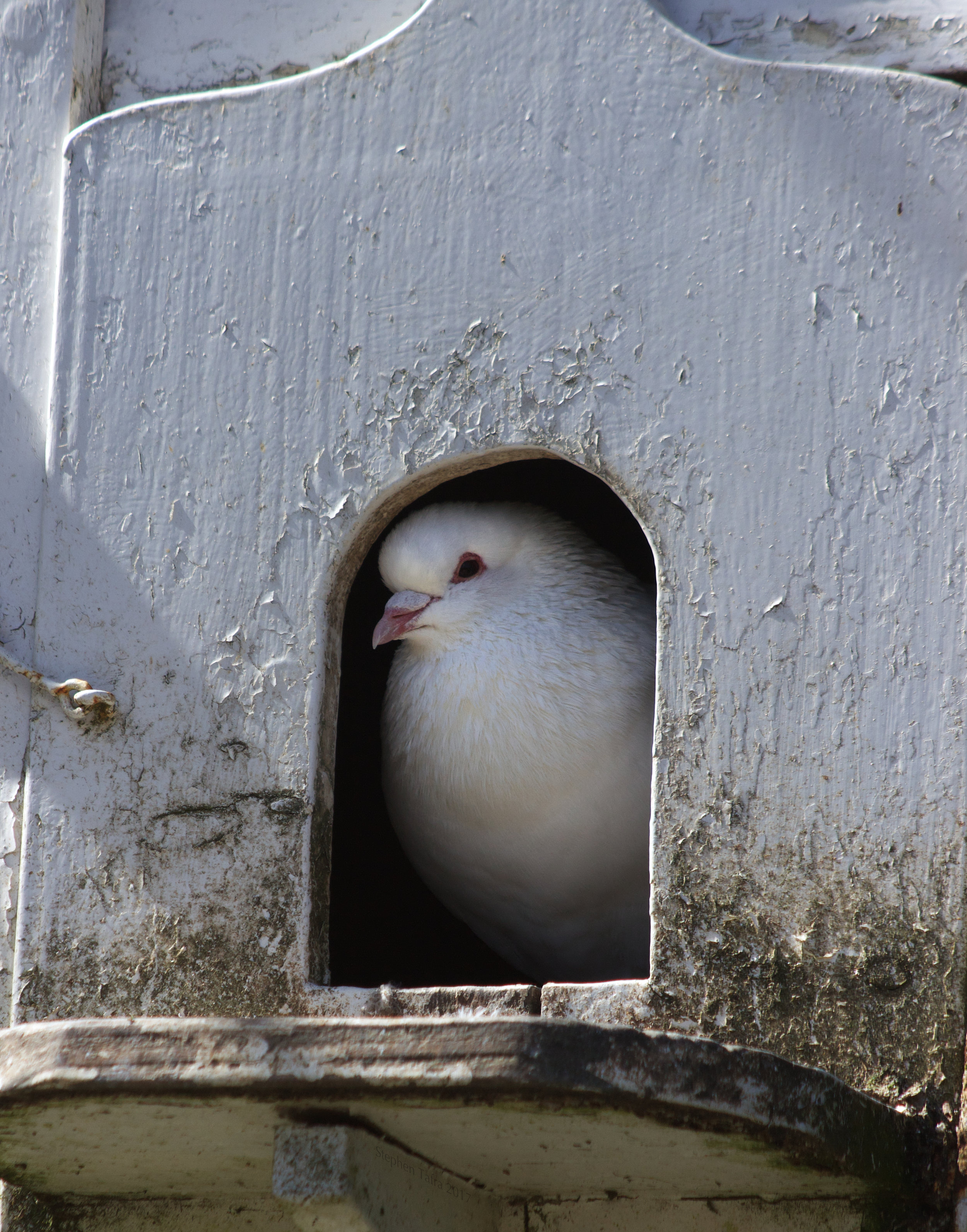 Avoiding Politics: A Primer