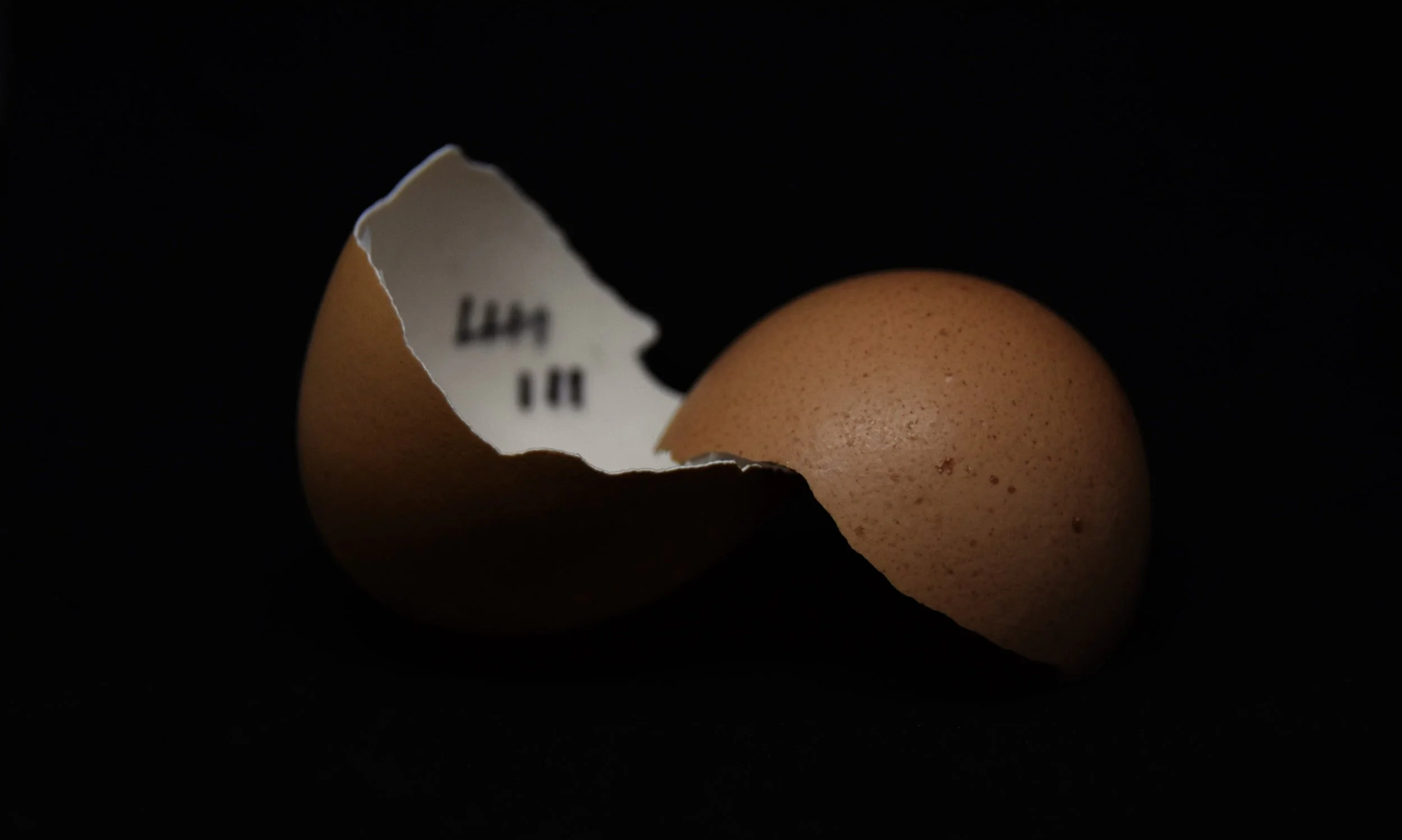 End the Drug War: Decriminalization in MN