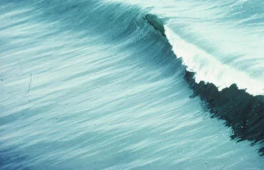 Large plunging breakers make good surfing waves, but are often dangerous for bathers and swimmers