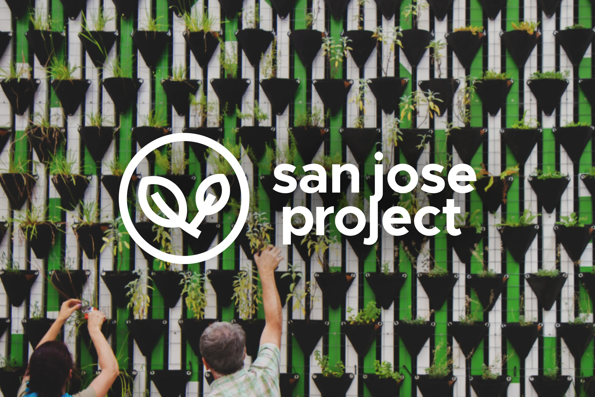 san jose project banner.jpg