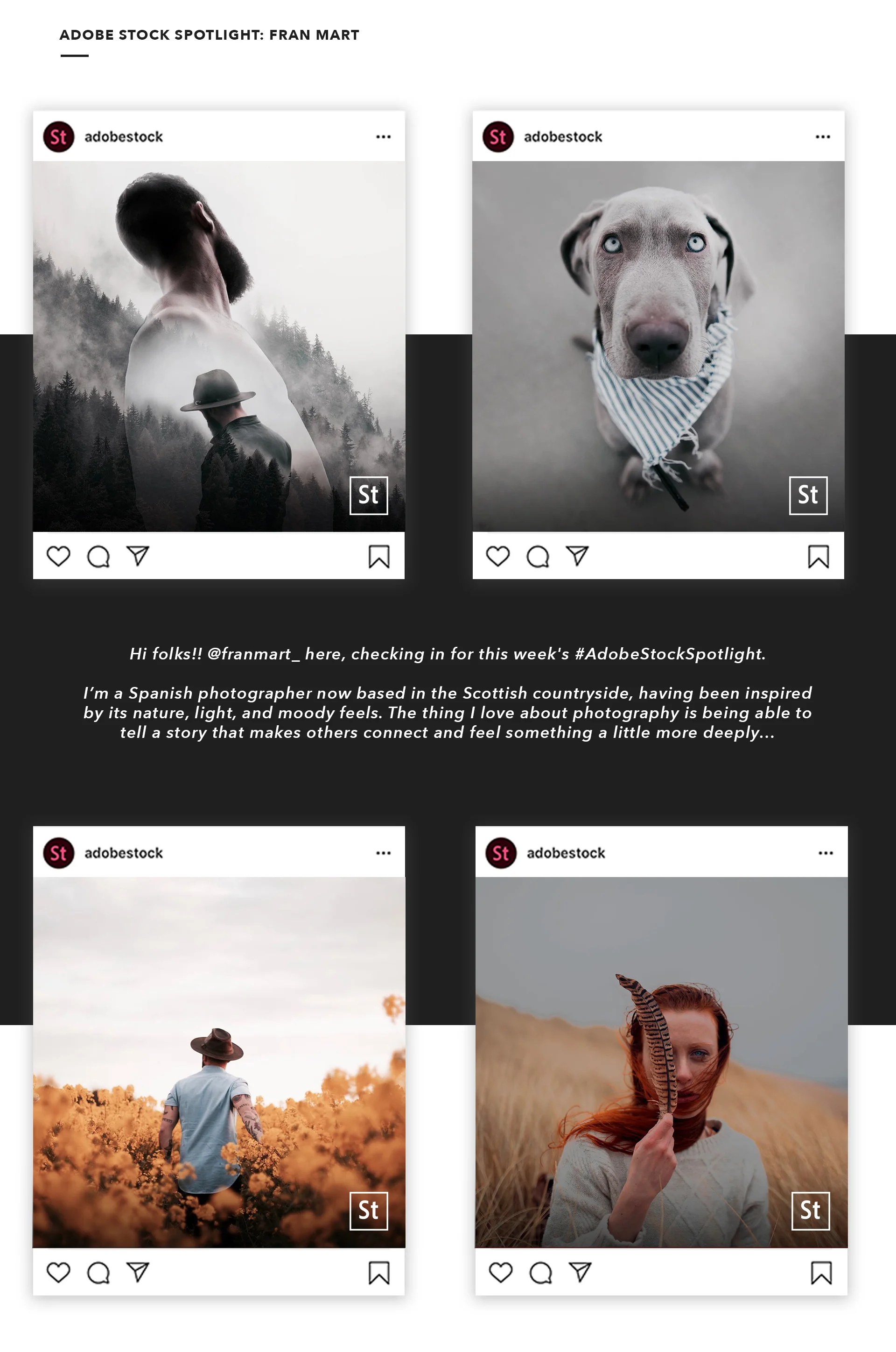 ADOBE STOCK SPOTLIGHT fran .jpg