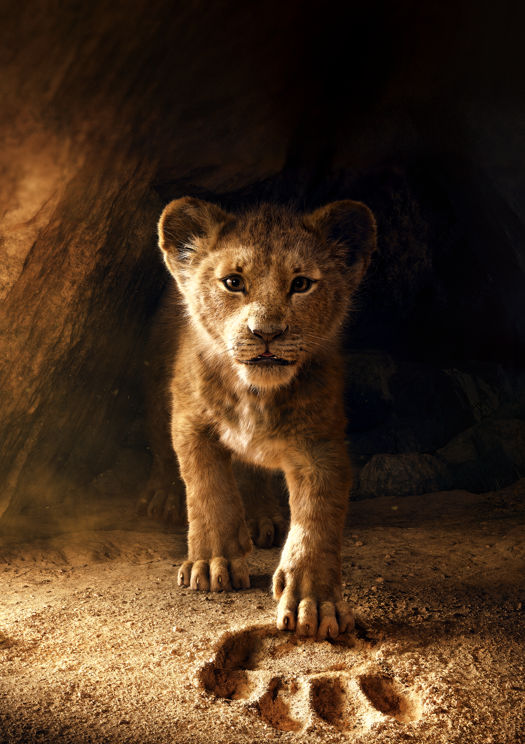 Screen Shot 2021-01-10 at 2.48.23 PM.png