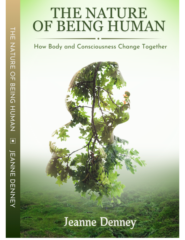 TNBH+Cover.png