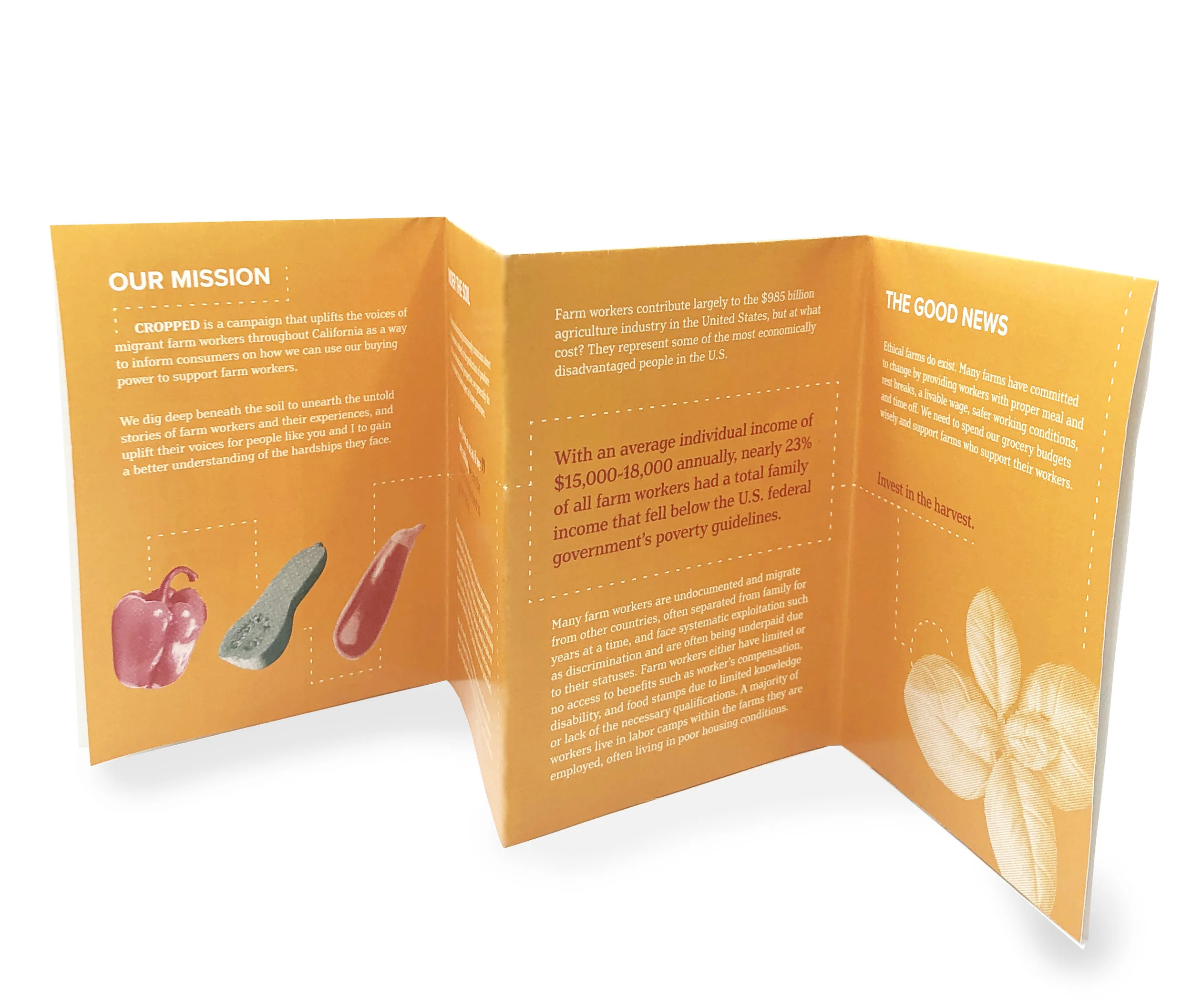 brochure open.jpg