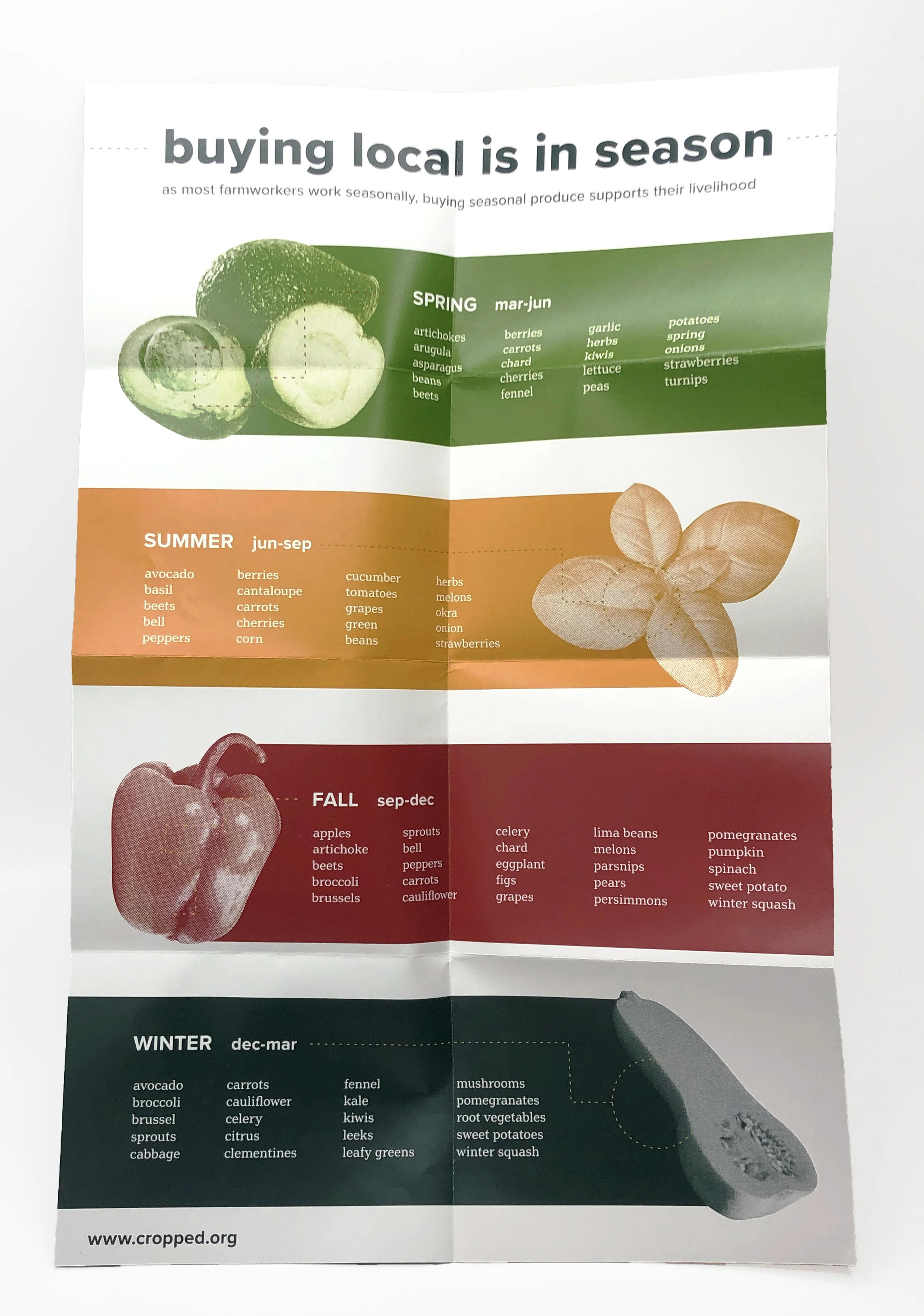 back-poster-brochure.jpg