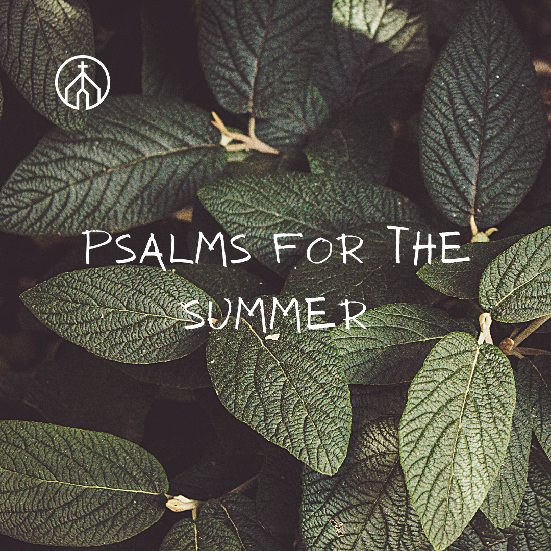 Psalms for the Summer IV: Praising God With Your Soul (Psalm 103)