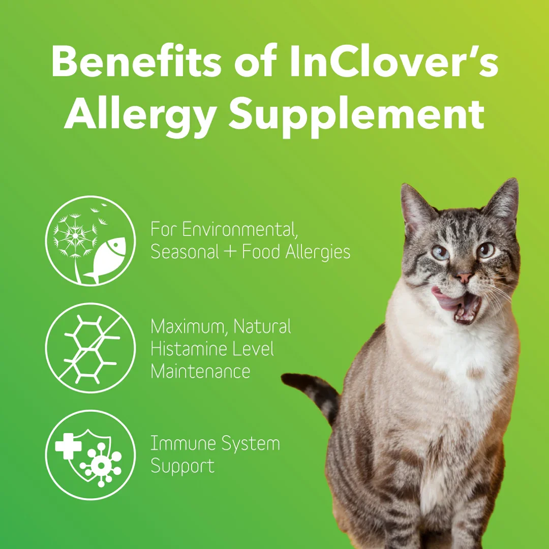 Allergy-3_1080x.webp