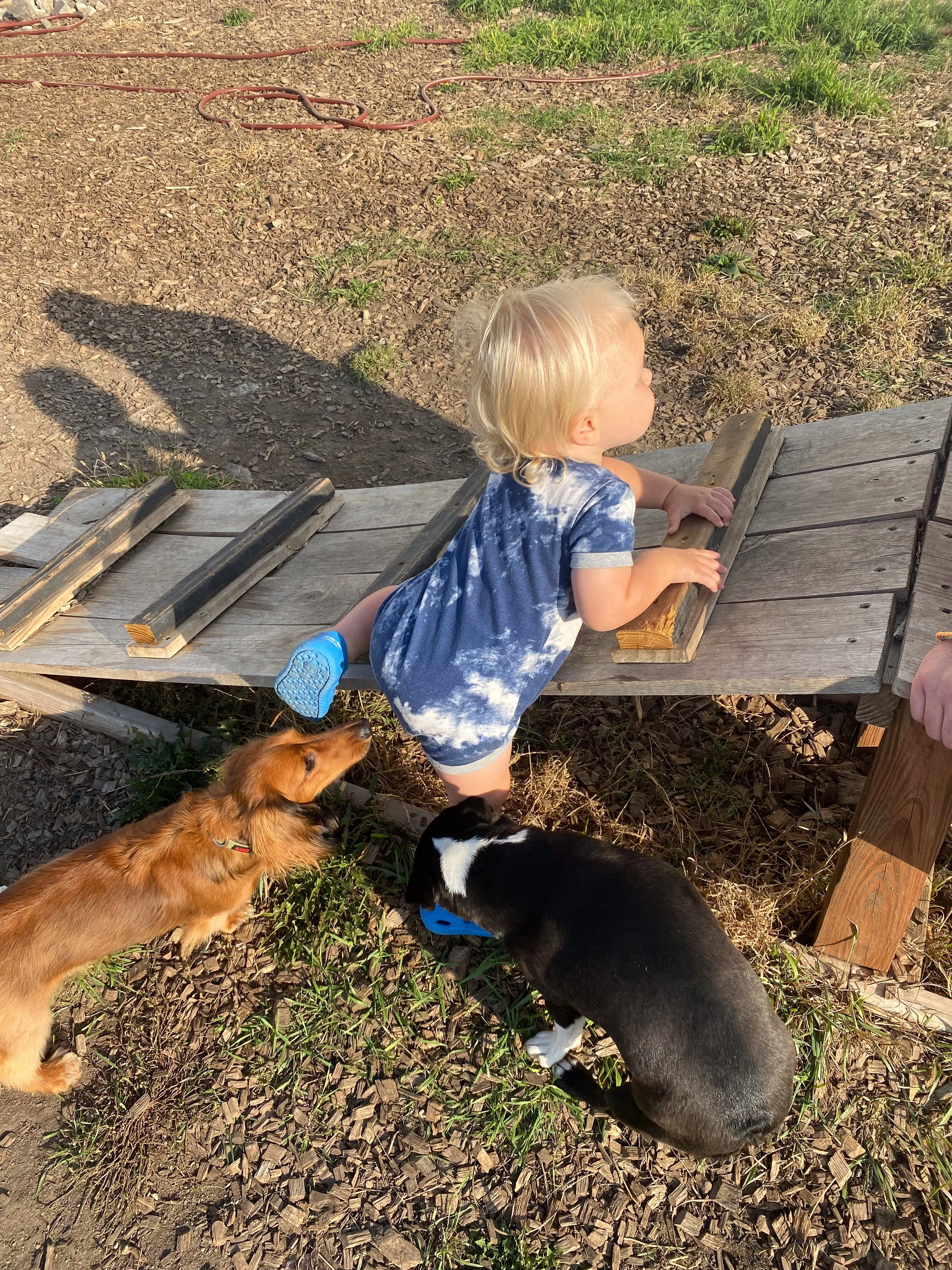 Companion Acres-LG-028.jpg