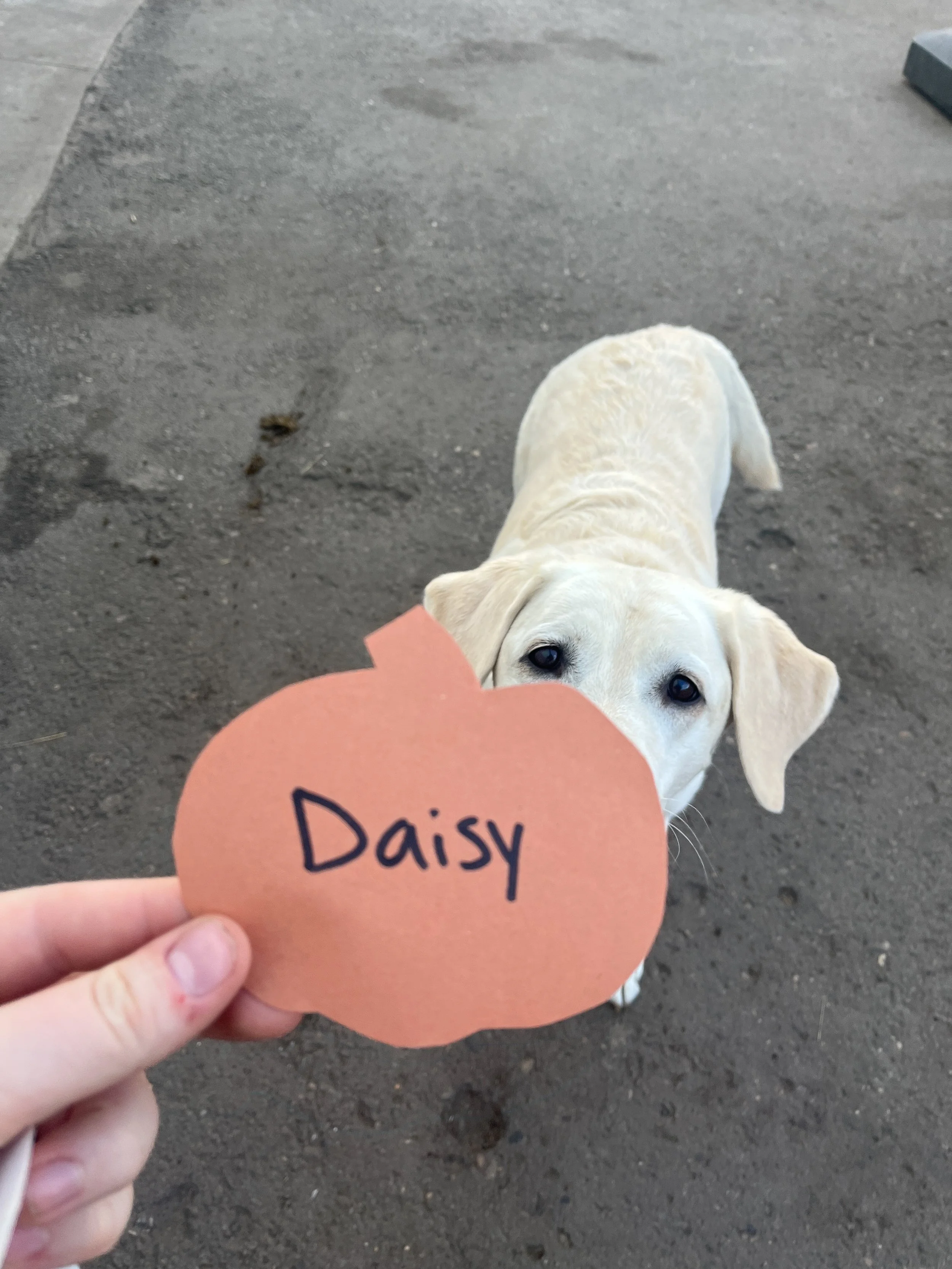 Companion Acres-LG-086.jpg