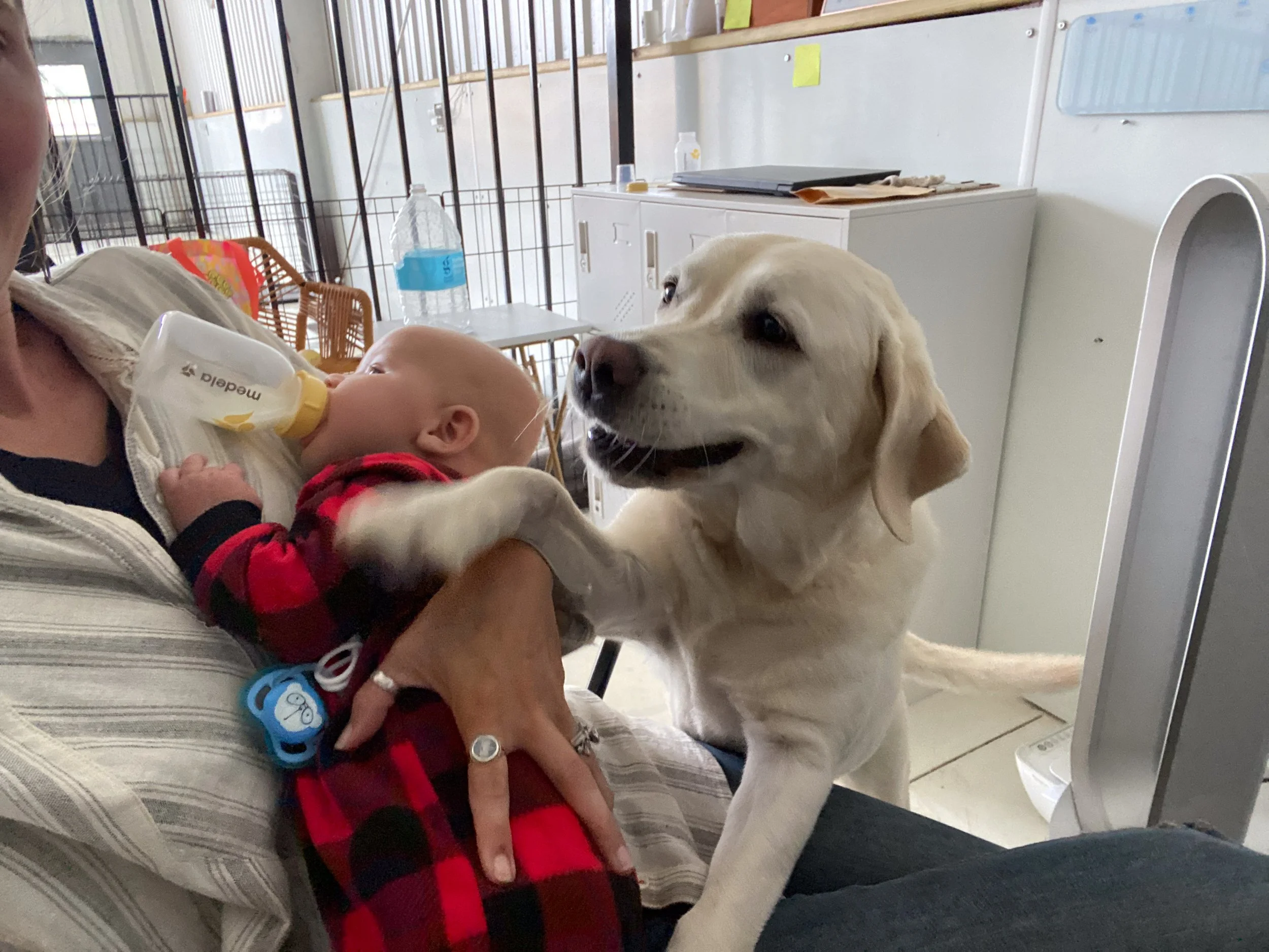 Companion Acres-LG-091.jpg