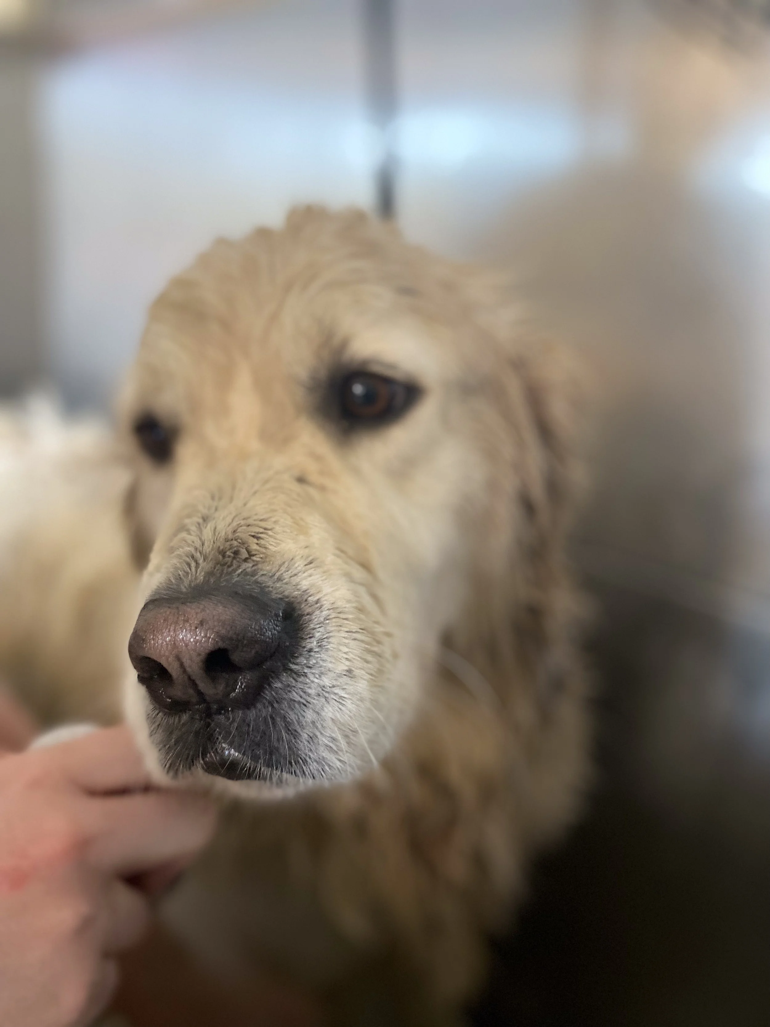 Companion Acres-LG-094.jpg