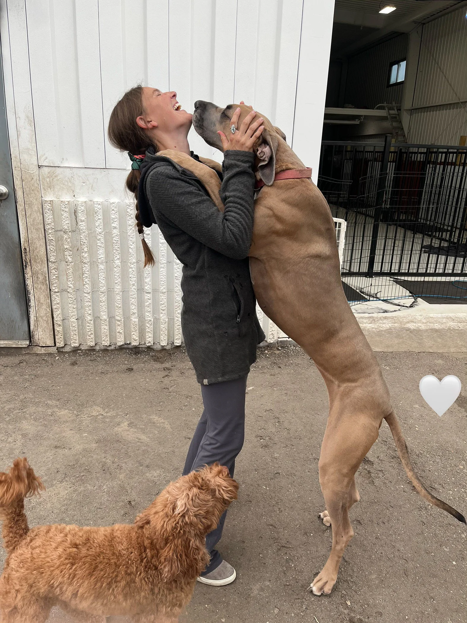 Companion Acres-LG-095.jpg