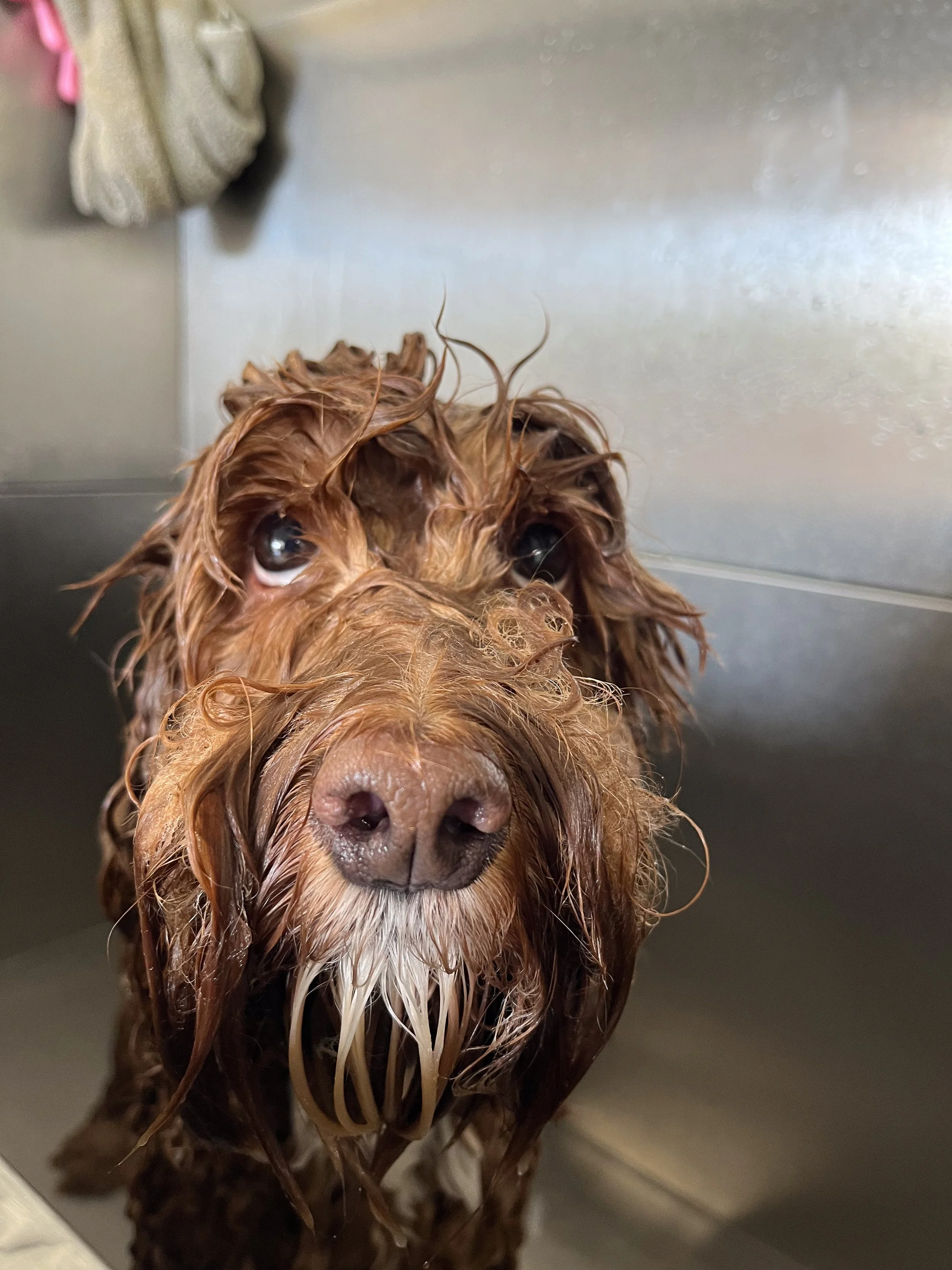 Companion Acres-LG-096.jpg