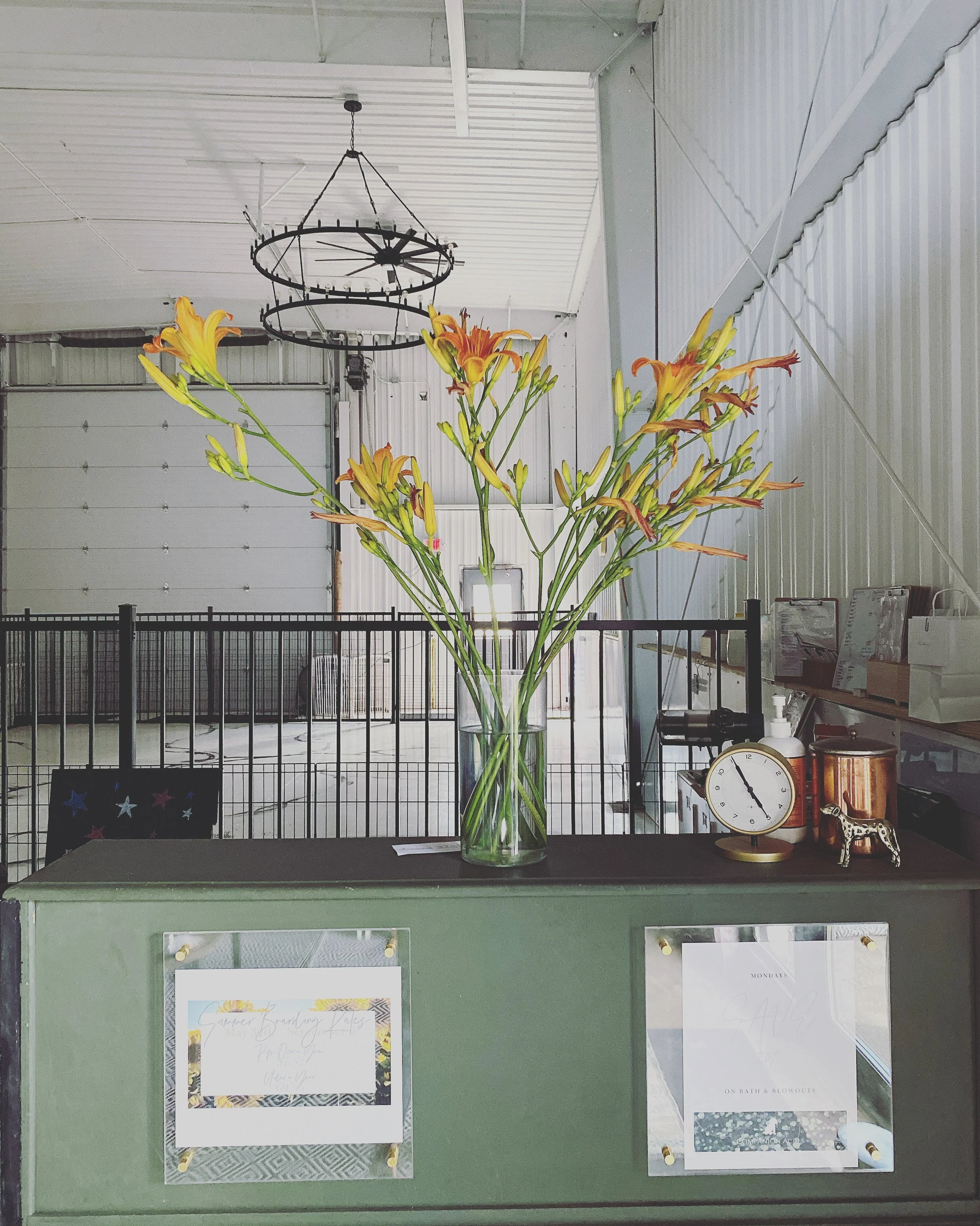 Companion Acres-LG-138.jpg