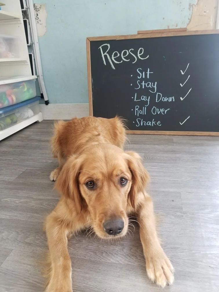 Companion Acres-LG-150.jpg