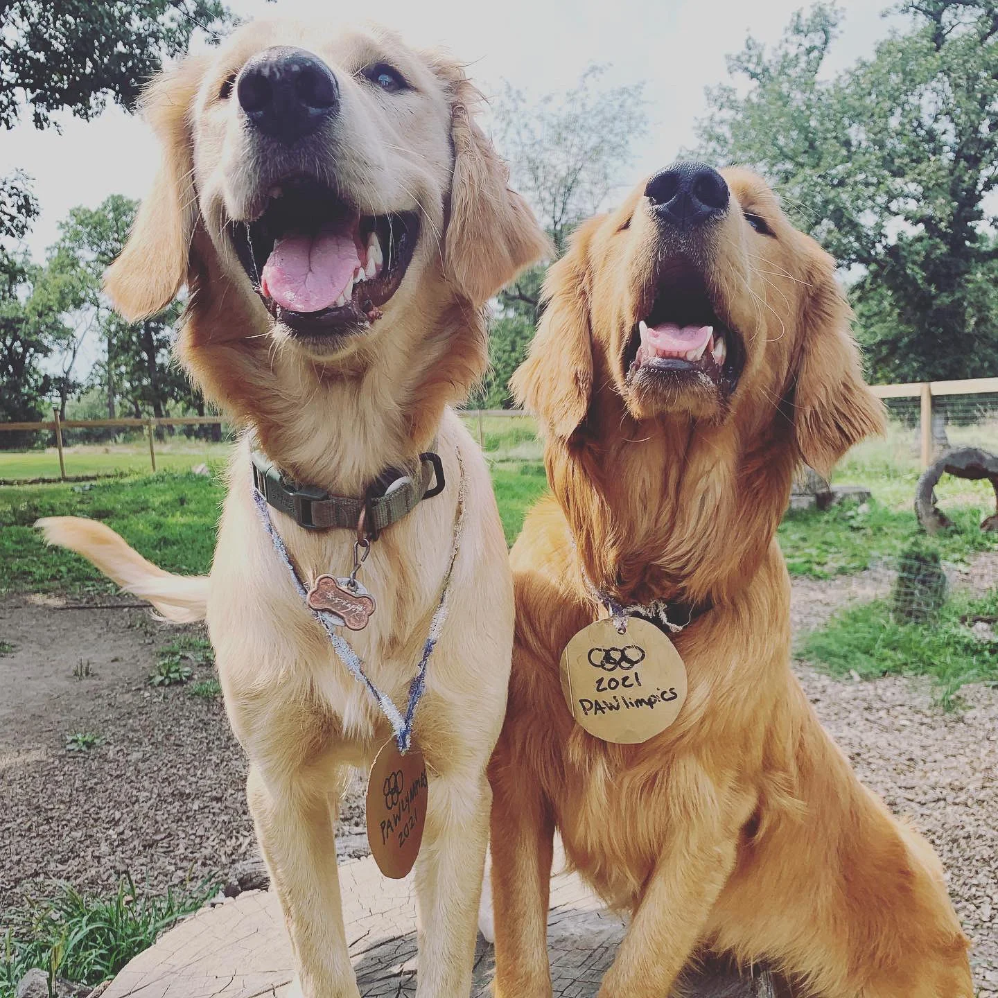 Companion Acres-LG-202.jpg