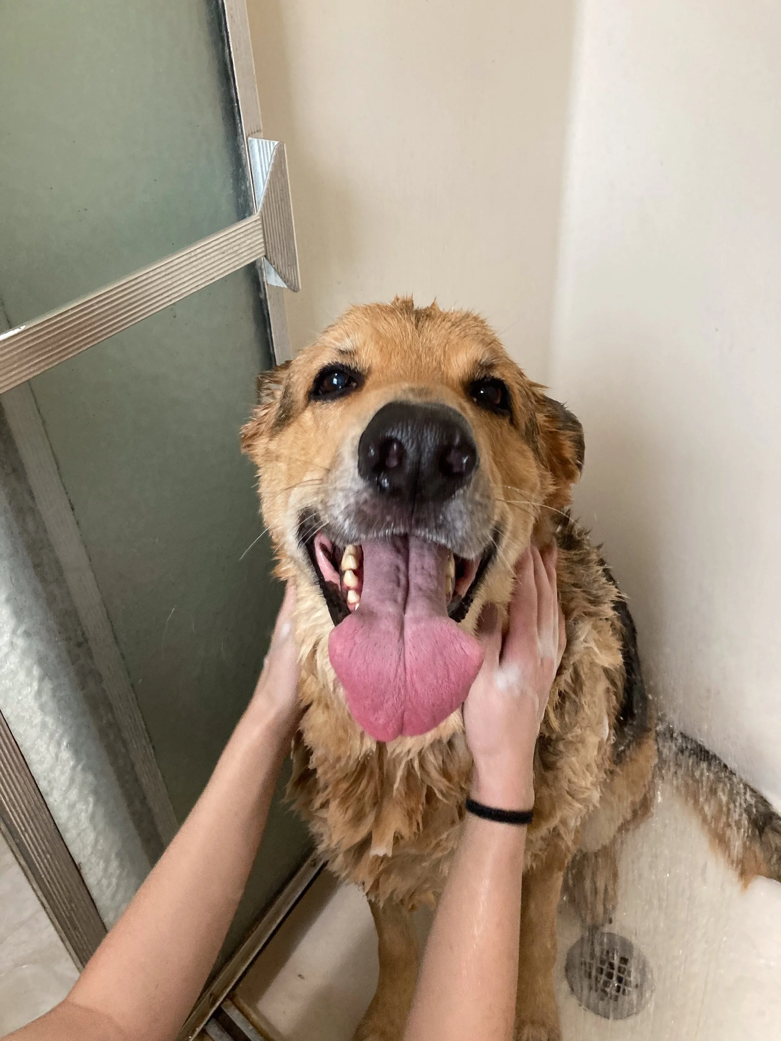 Companion Acres-LG-282.jpg