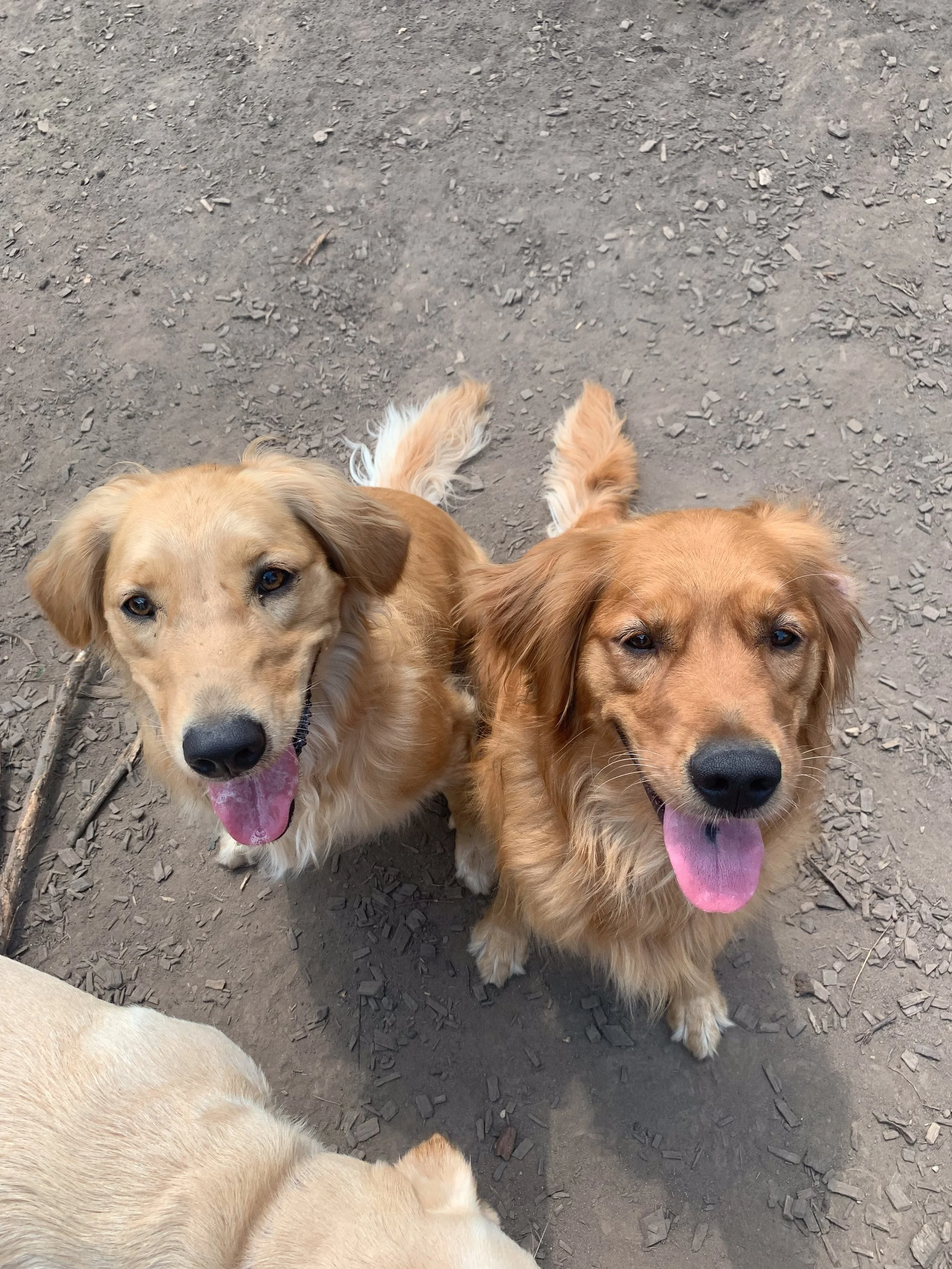 Companion Acres-LG-329.jpg