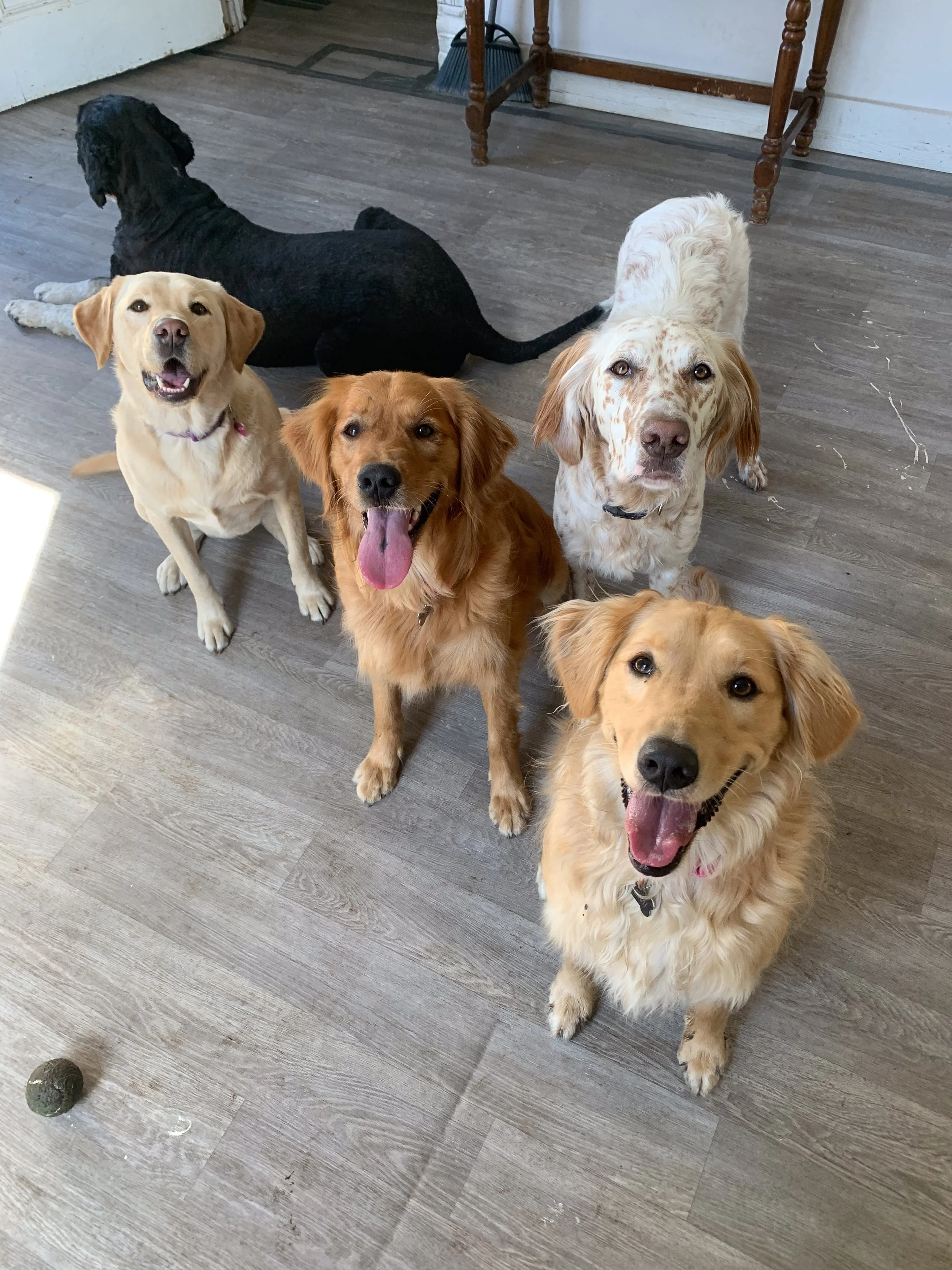 Companion Acres-LG-376.jpg