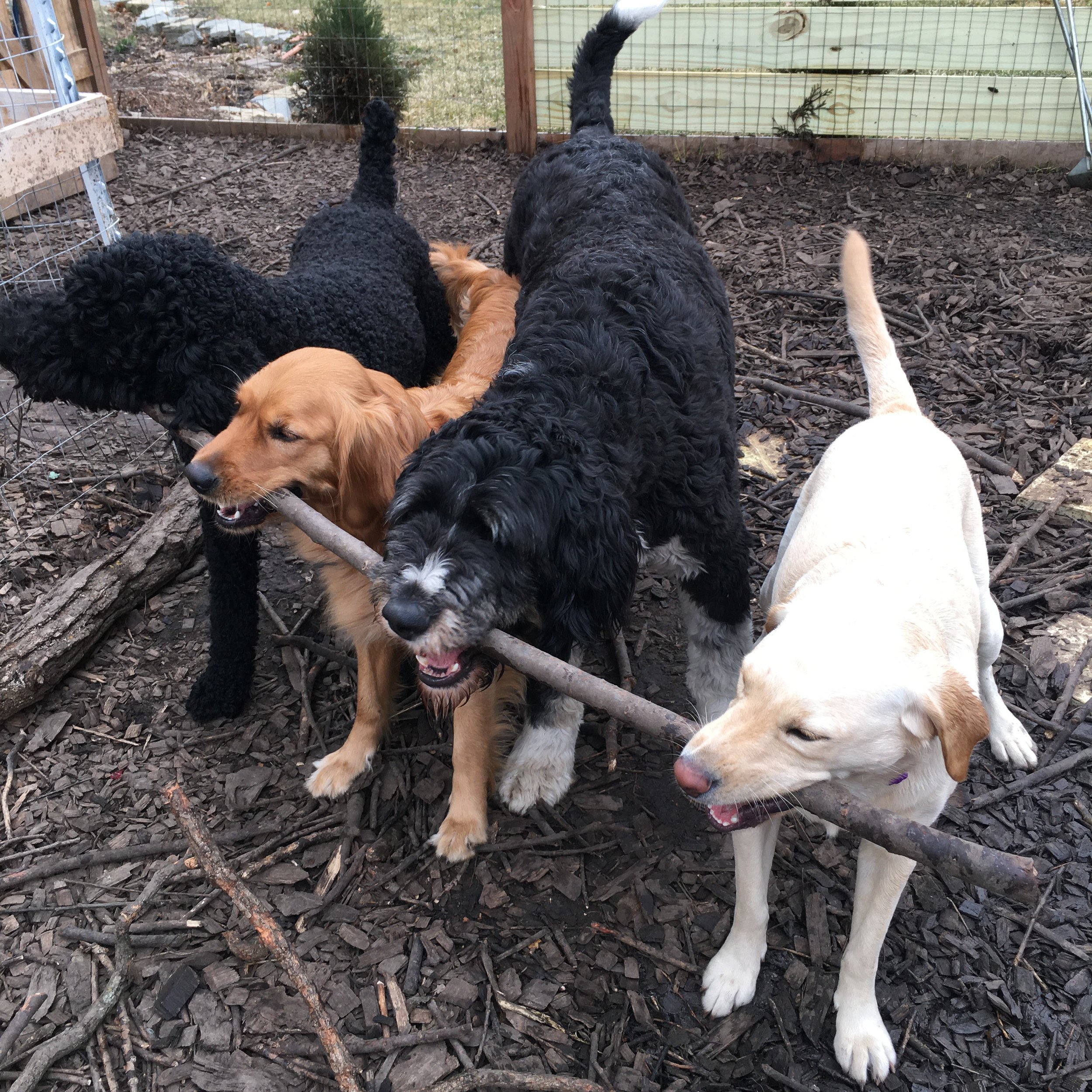 Companion Acres-LG-452.jpg