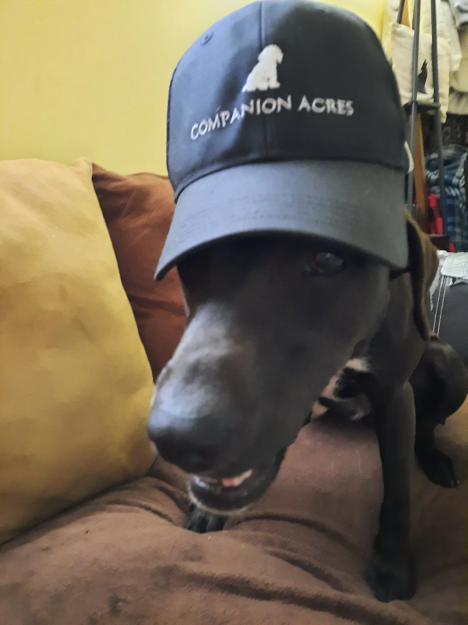 Companion Acres-LG-074.jpg