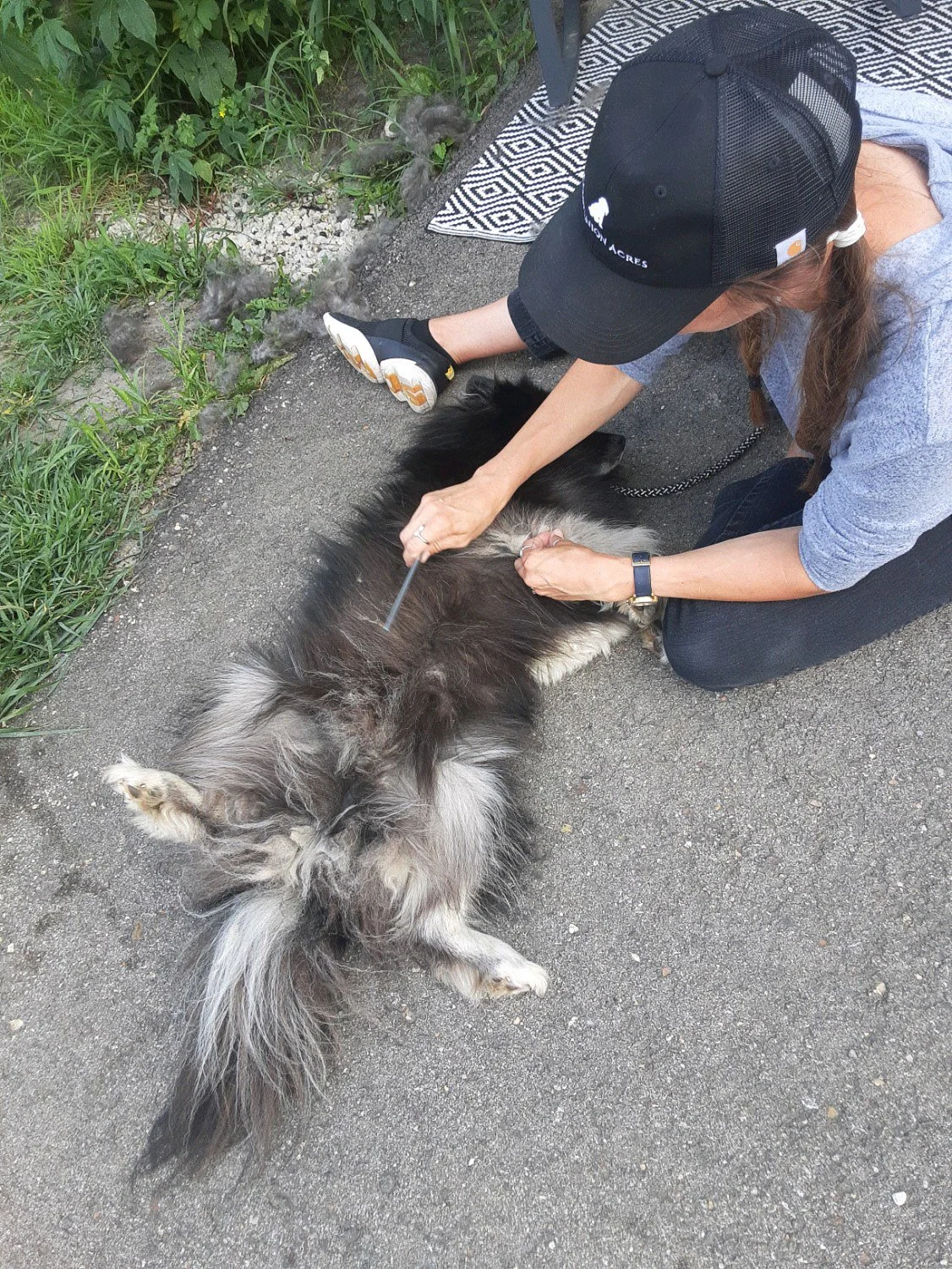 Companion Acres-LG-075.jpg