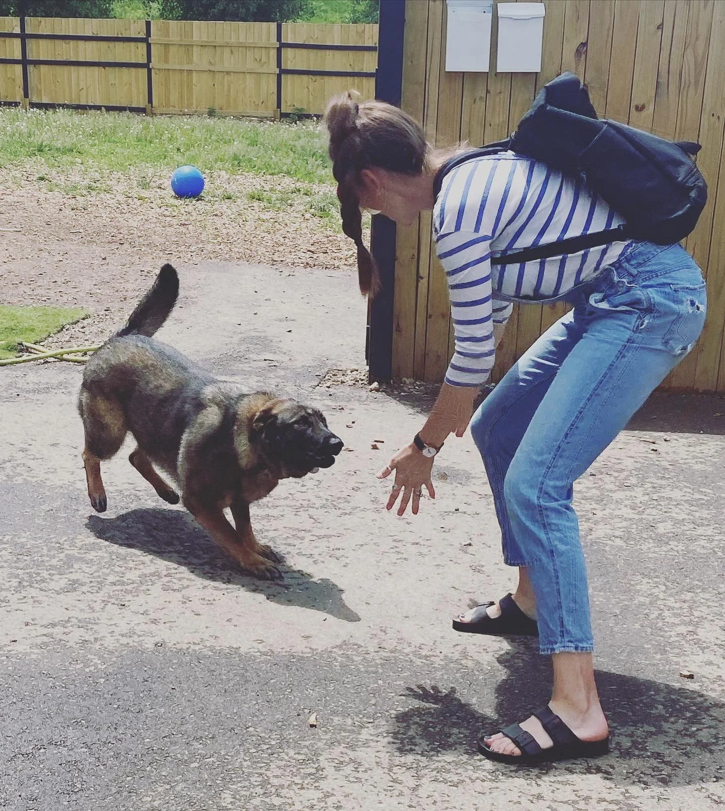 Companion Acres-LG-078.jpg