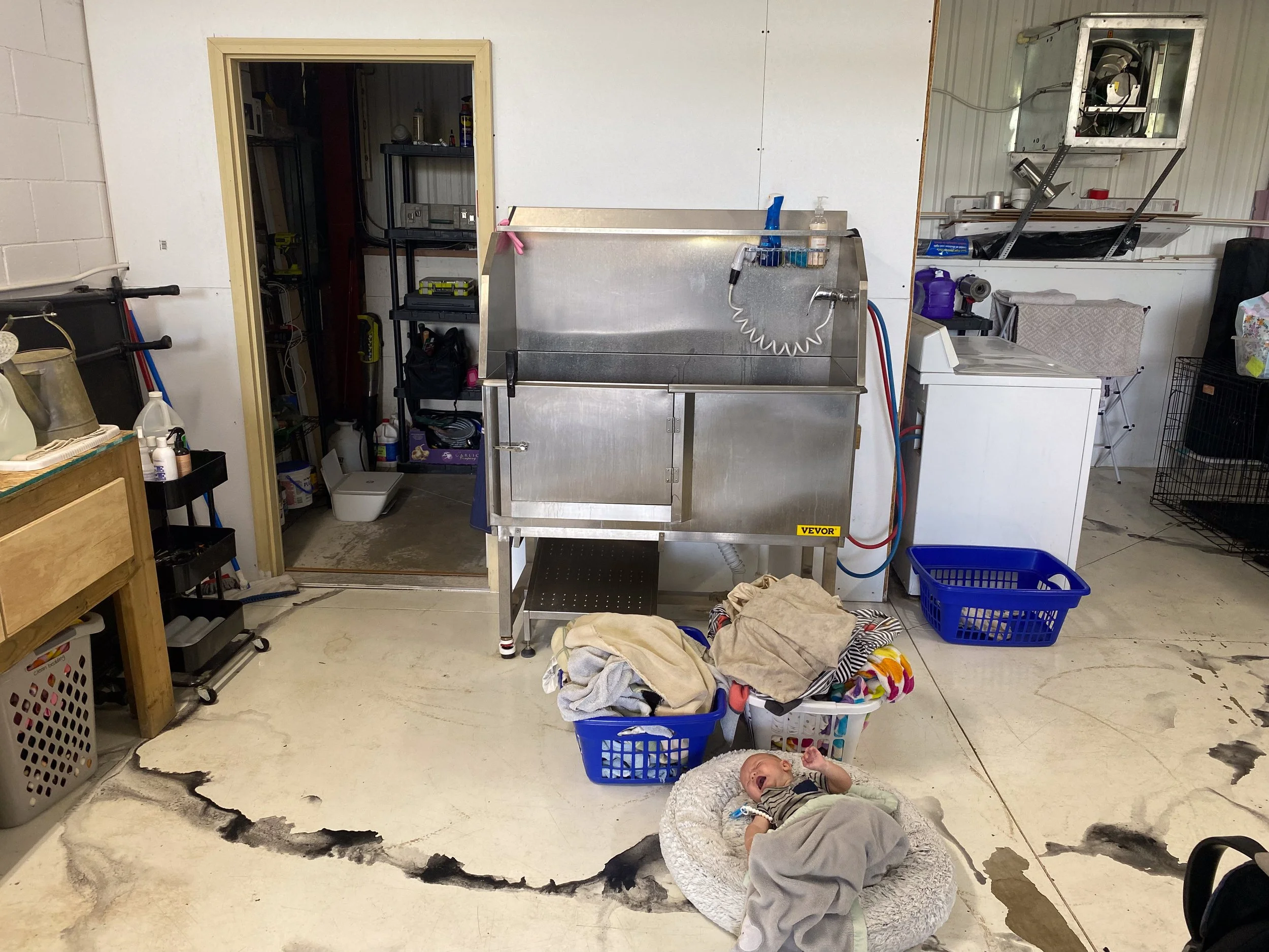 Companion Acres-LG-097.jpg