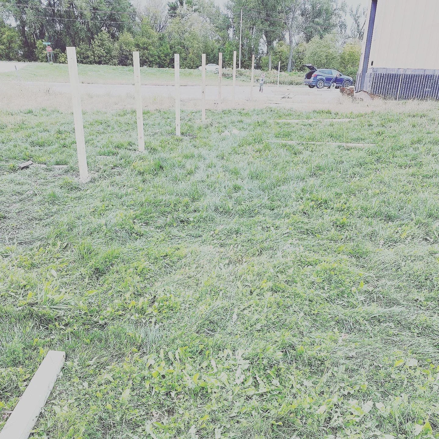 Companion Acres-LG-213.jpg