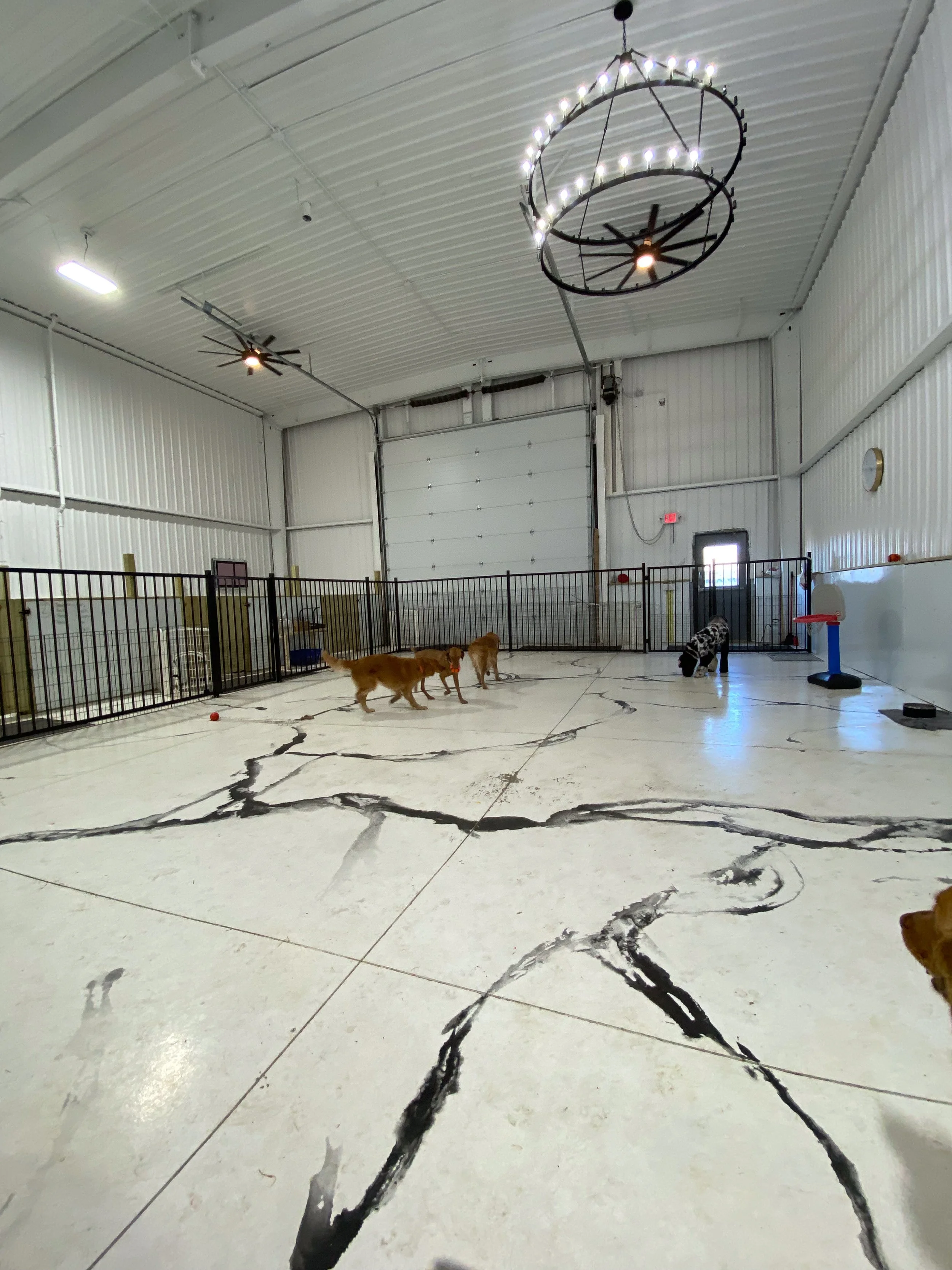 Companion Acres-LG-241.jpg