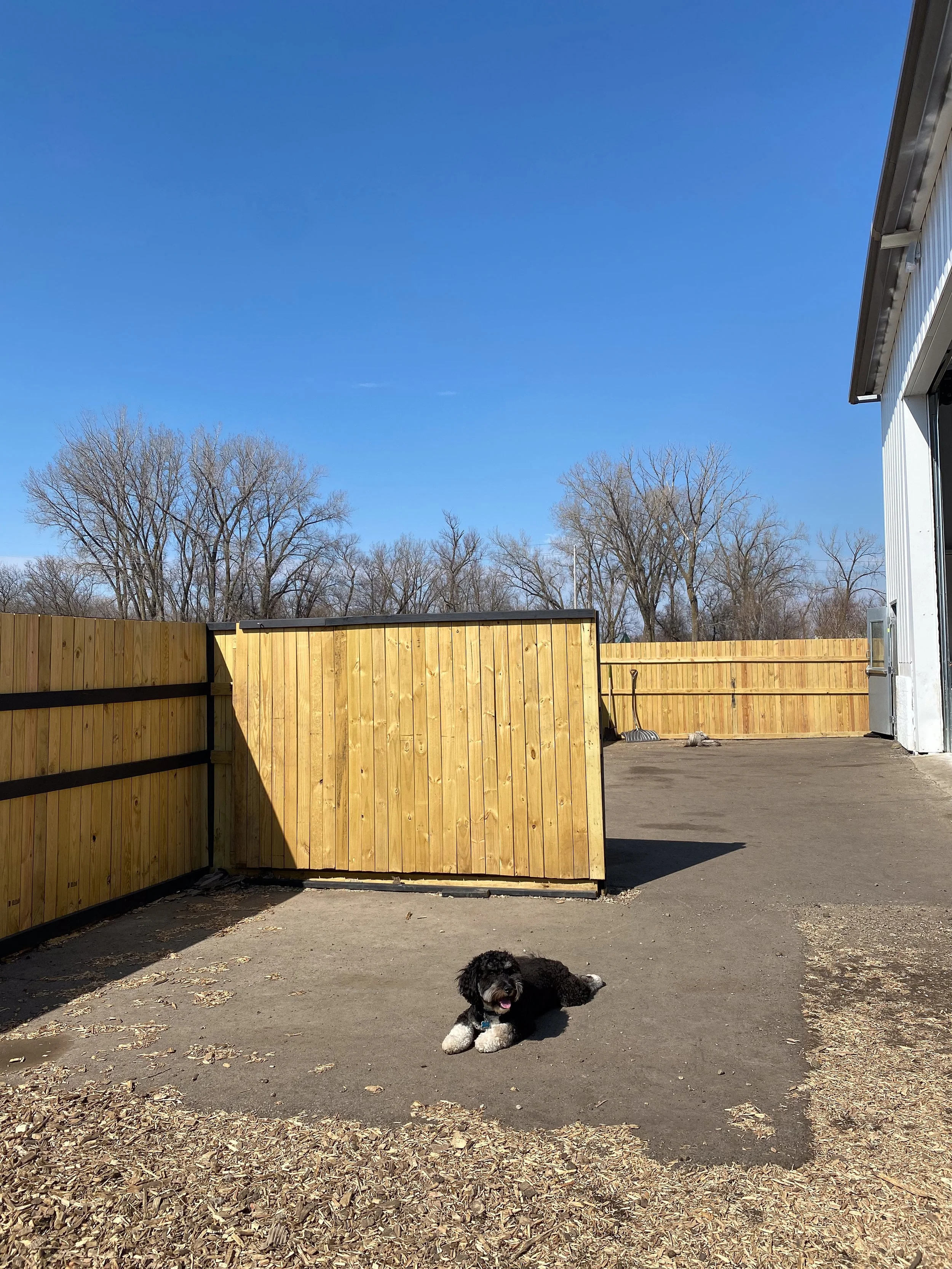 Companion Acres-LG-244.jpg