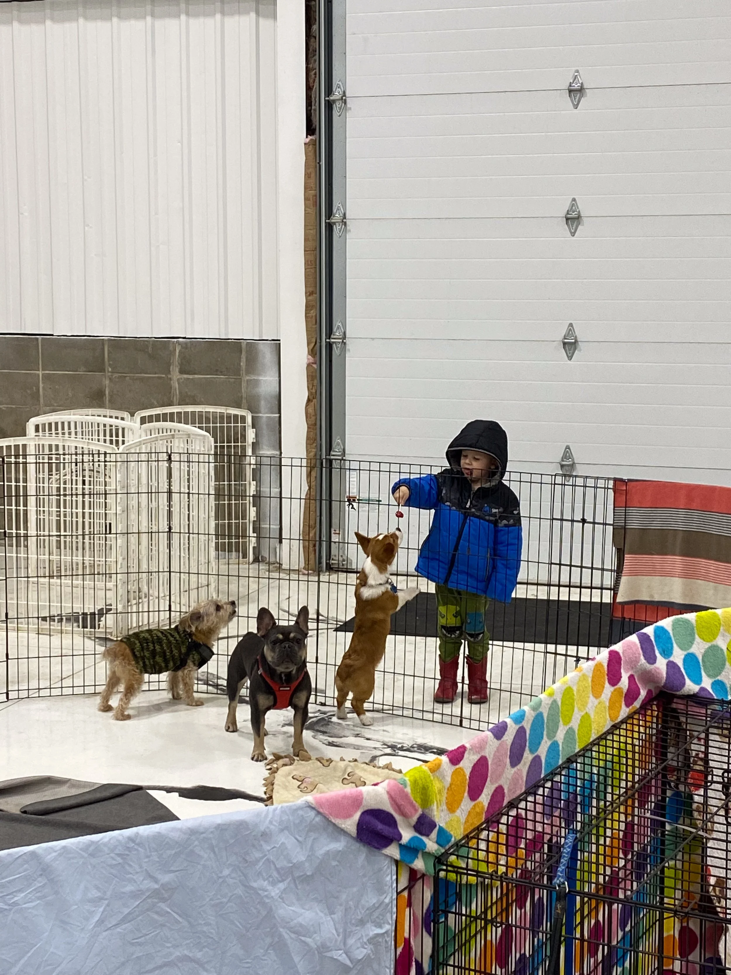 Companion Acres-LG-272.jpg