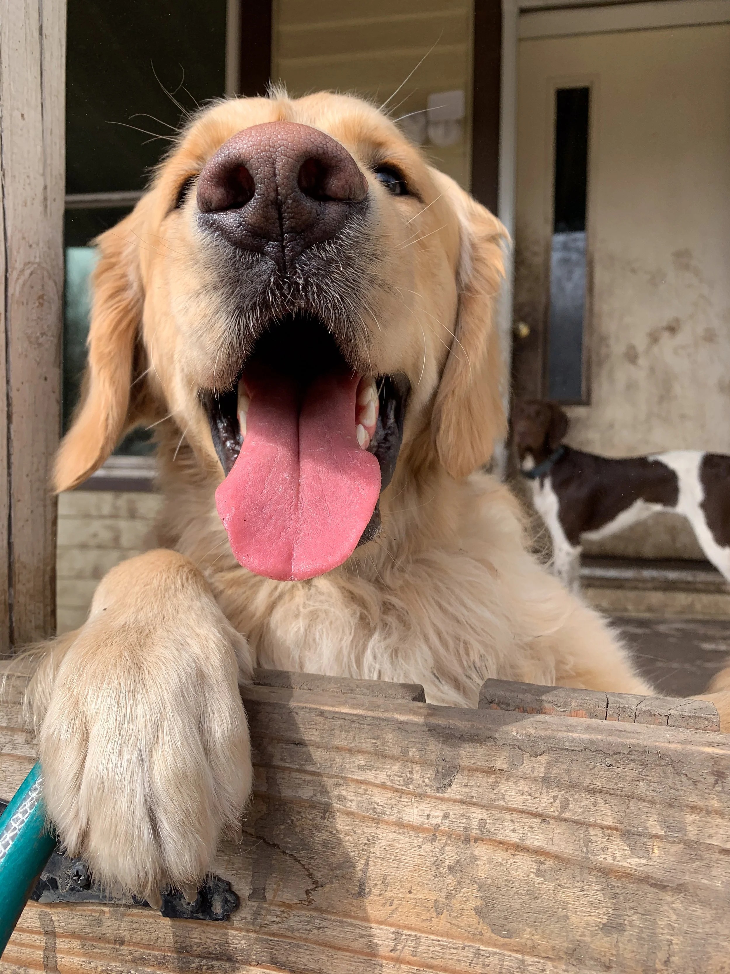 Companion Acres-LG-453.jpg