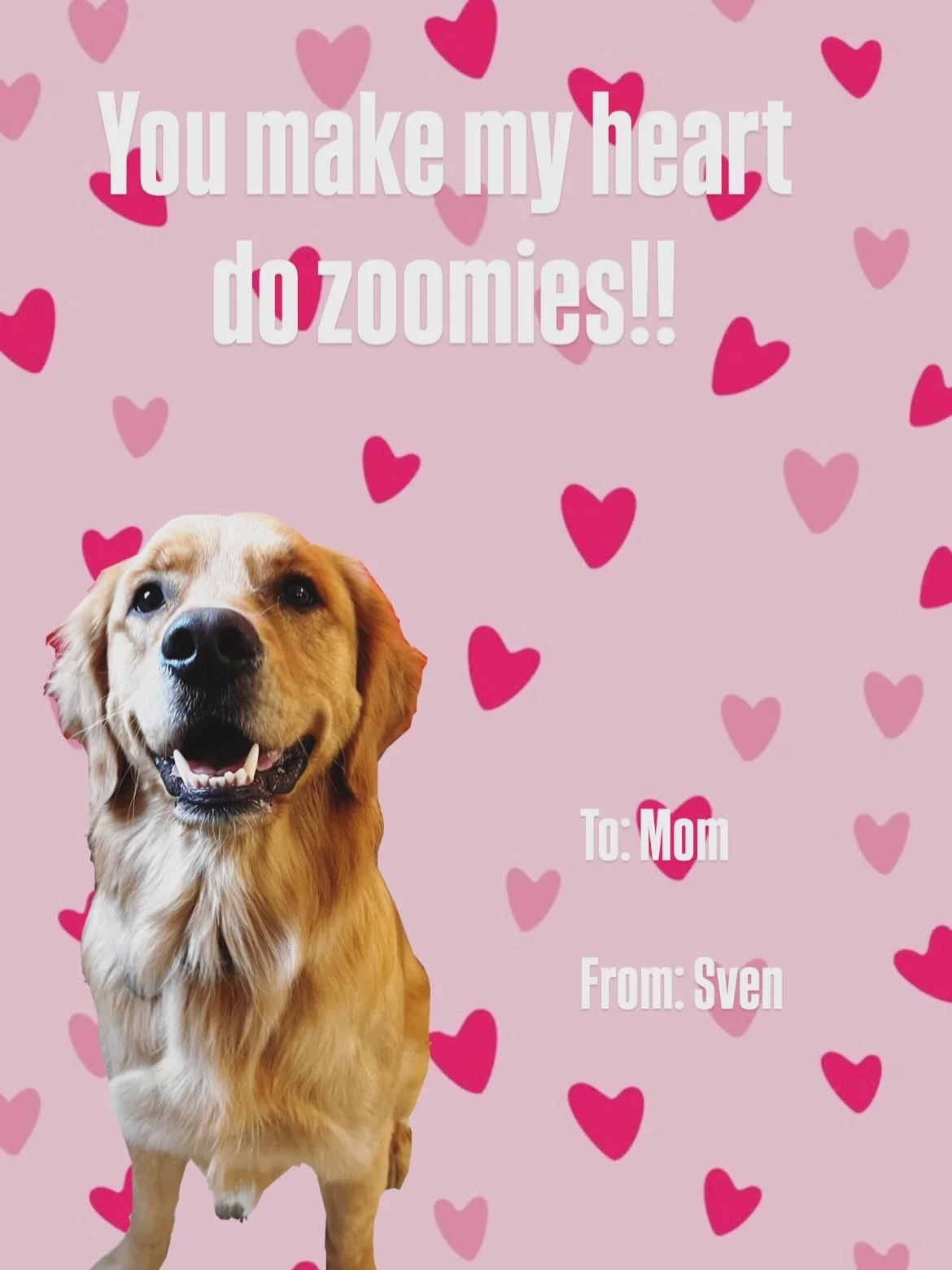 💞HAPPY VALENTINES DAY FURENDS💞

#valentinesday #dogsofinstagram #furends #loveday #doggydaycare