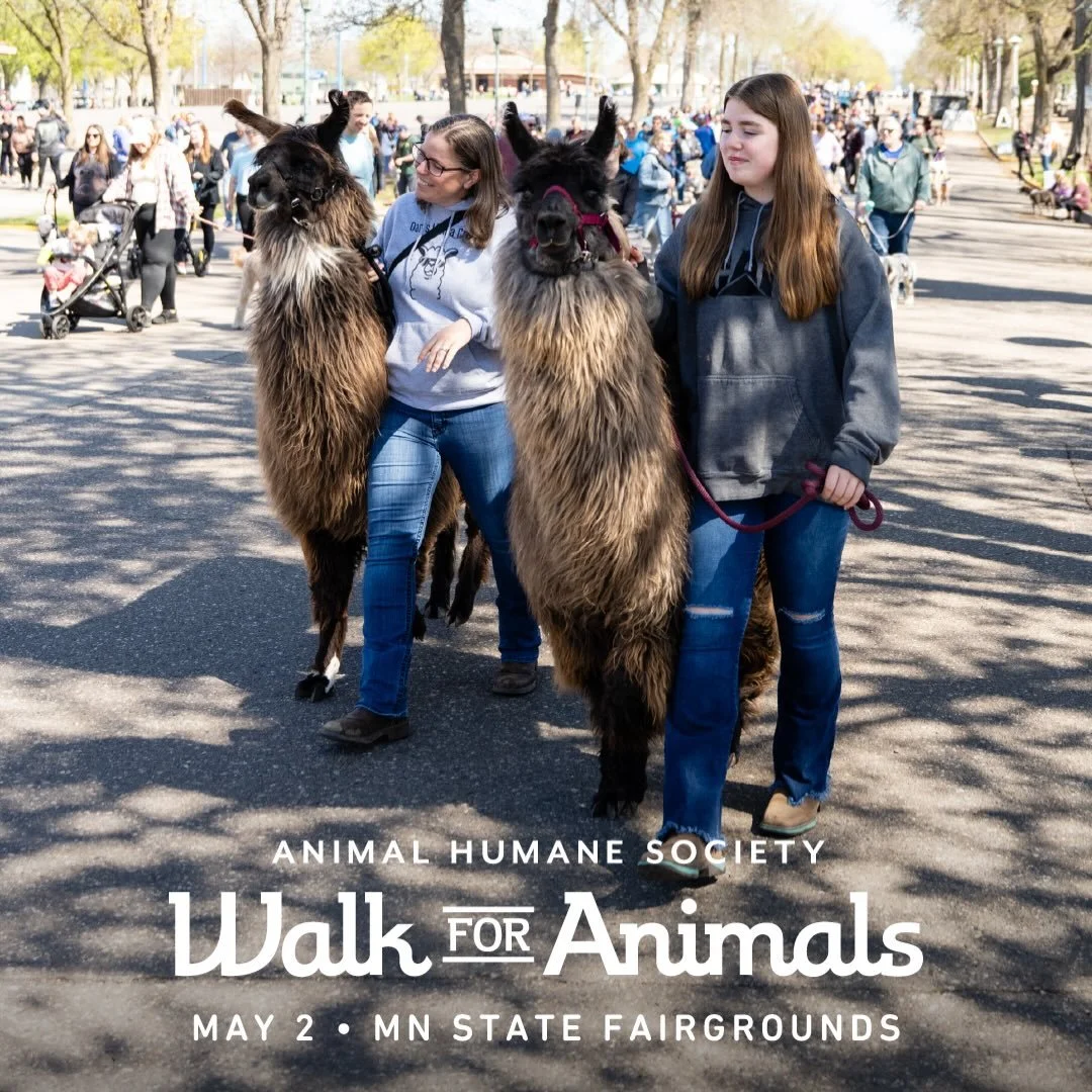 🦮 SATURDAY, MAY 2ND 🐕&zwj;🦺

Join us at the Minnesota State Fairgrounds for The Animal Humane Society&rsquo;s Walk for Animals!! We&rsquo;ll be hanging out from 9a-1p and would love to see some familiar faces 😃 Enjoy the walk, lots of vendors, fr