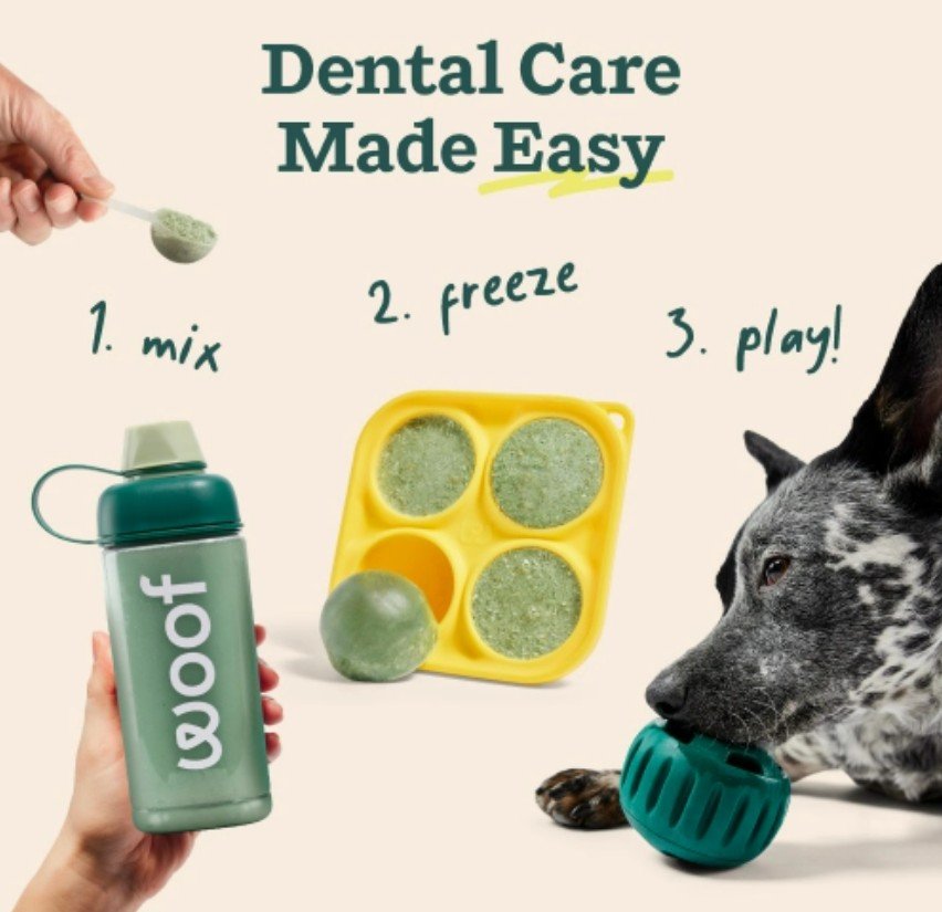 DoggyDental6.jpg