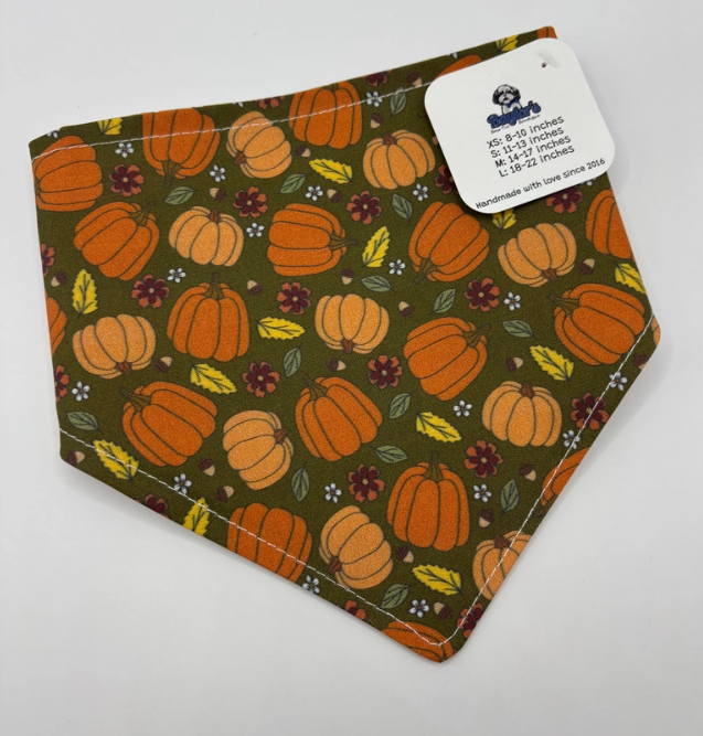 PumpkinBandana1.png