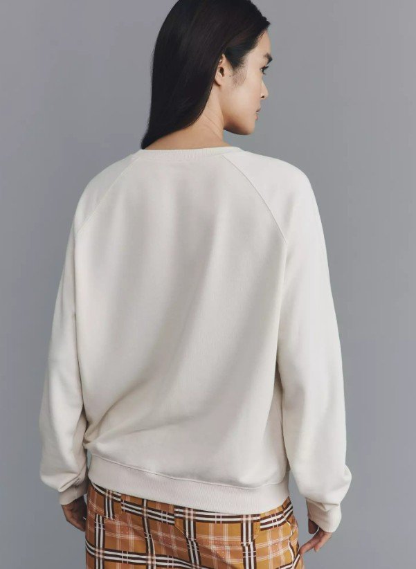 AnthroSweater3.jpg