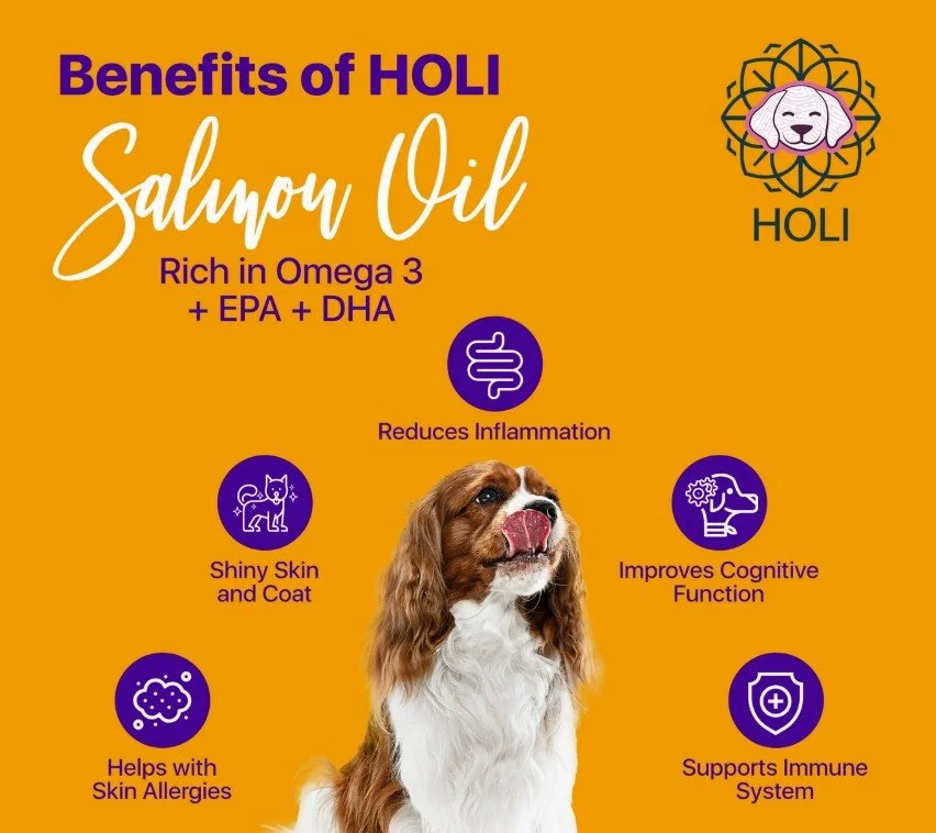 Holi4.jpg