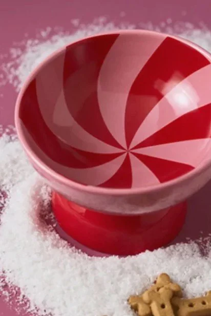 AnthroPeppermintPetBowl2.jpg