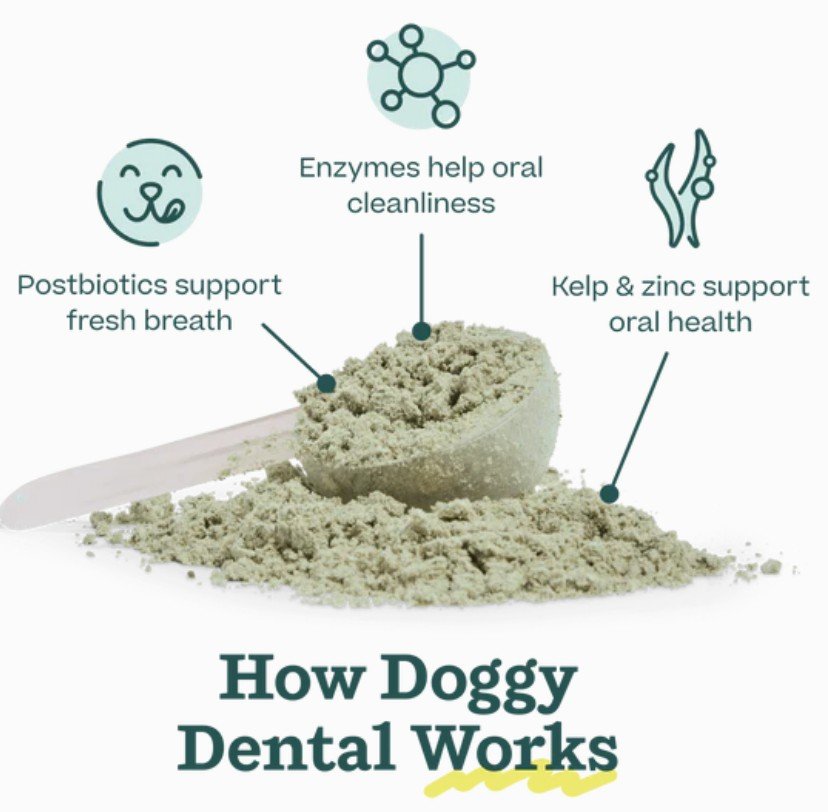 DoggyDental4.jpg