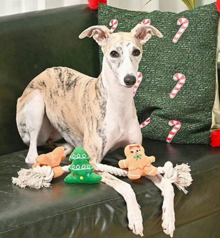 XMasRopeToyDog.jpg