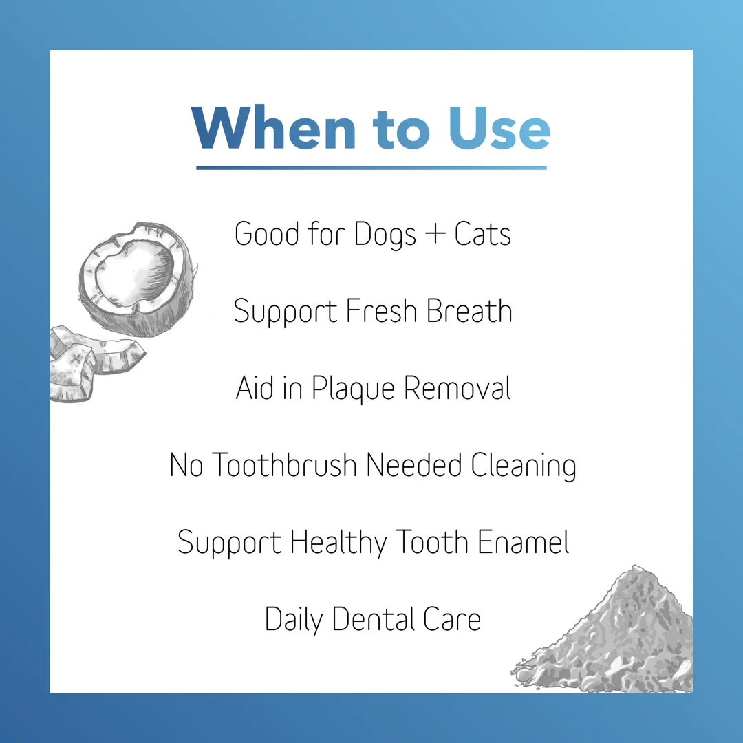 Dental-6_910a5505-7120-4b5f-95bd-f2657d4e45bb_1080x.webp