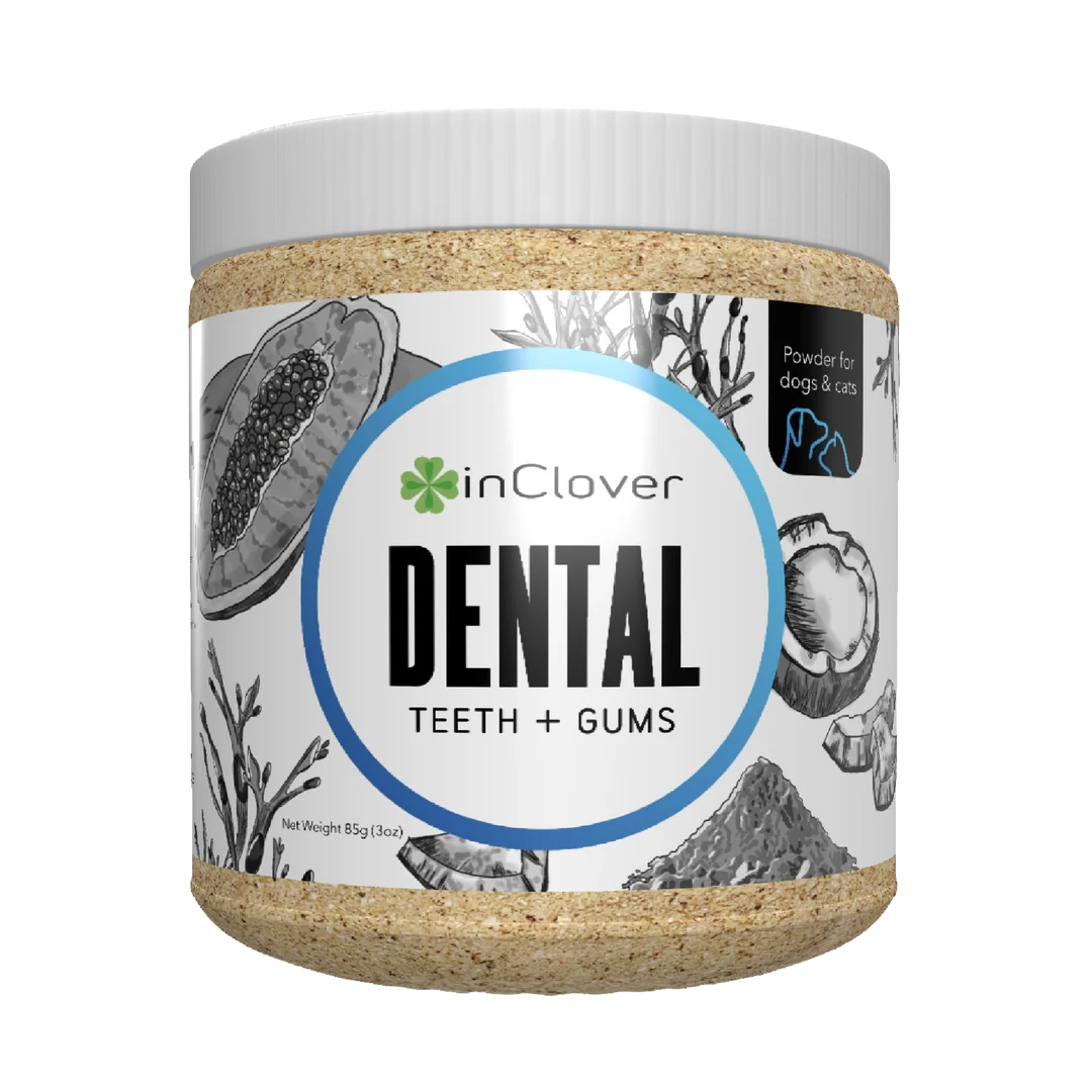 Dental-1_1080x.png