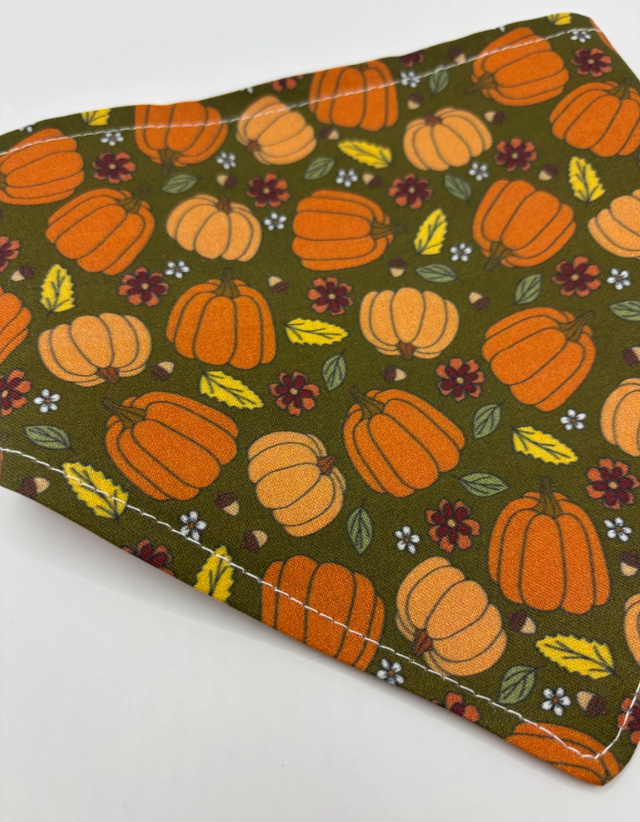 PumpkinBandana3.png