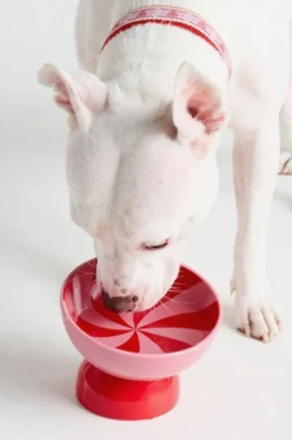 AnthroPeppermintPetBowl3.jpg